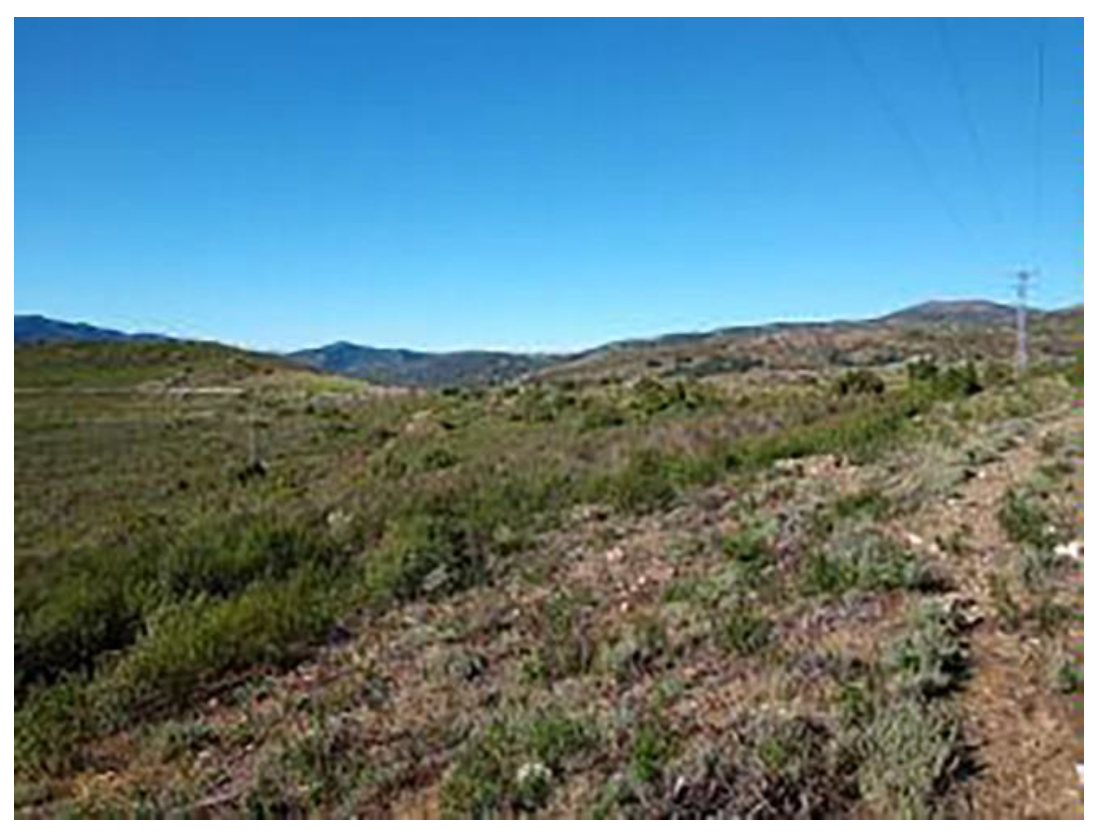 Land 11 01358 g010 550