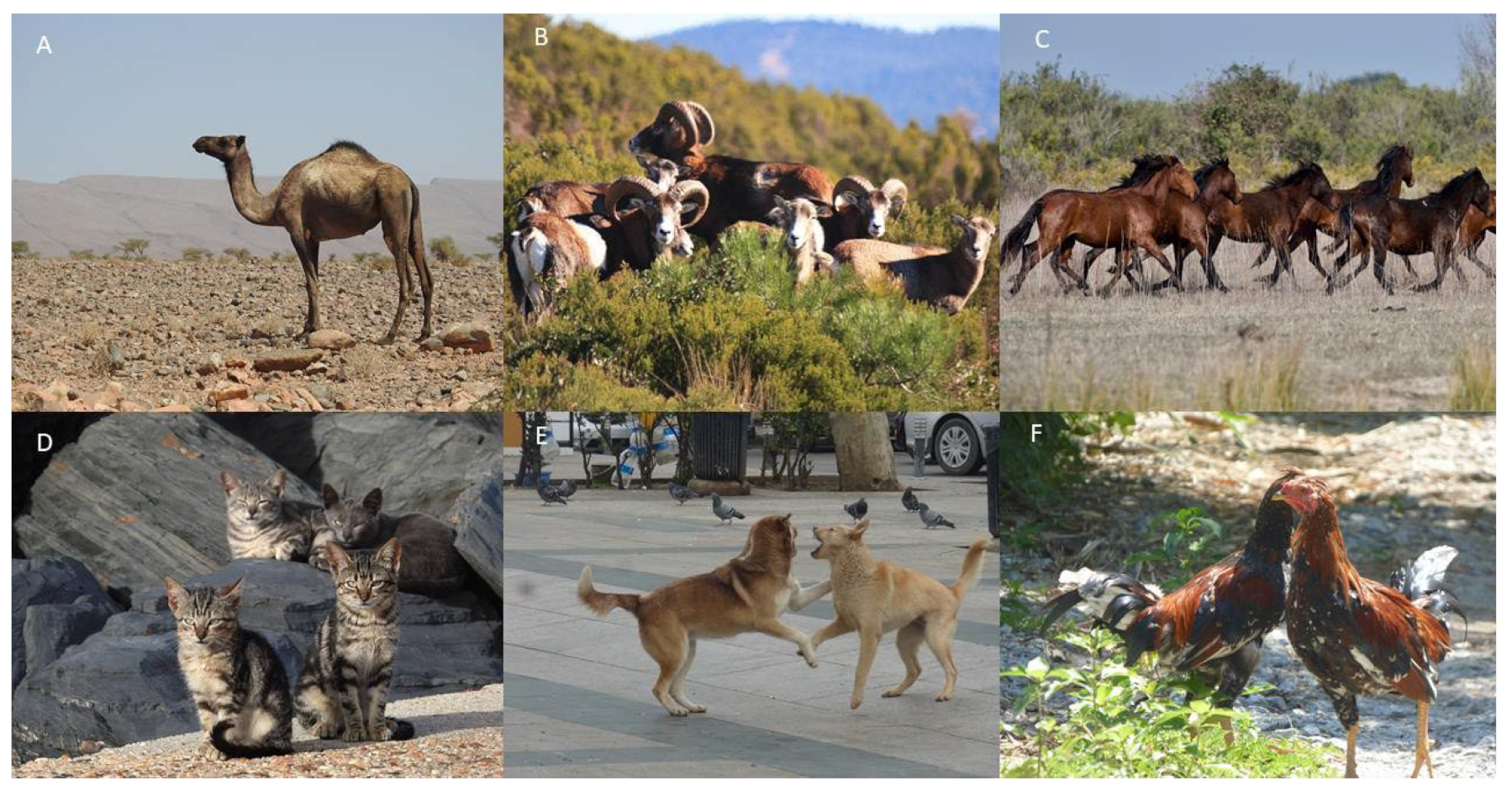 Land 11 01370 g001 550