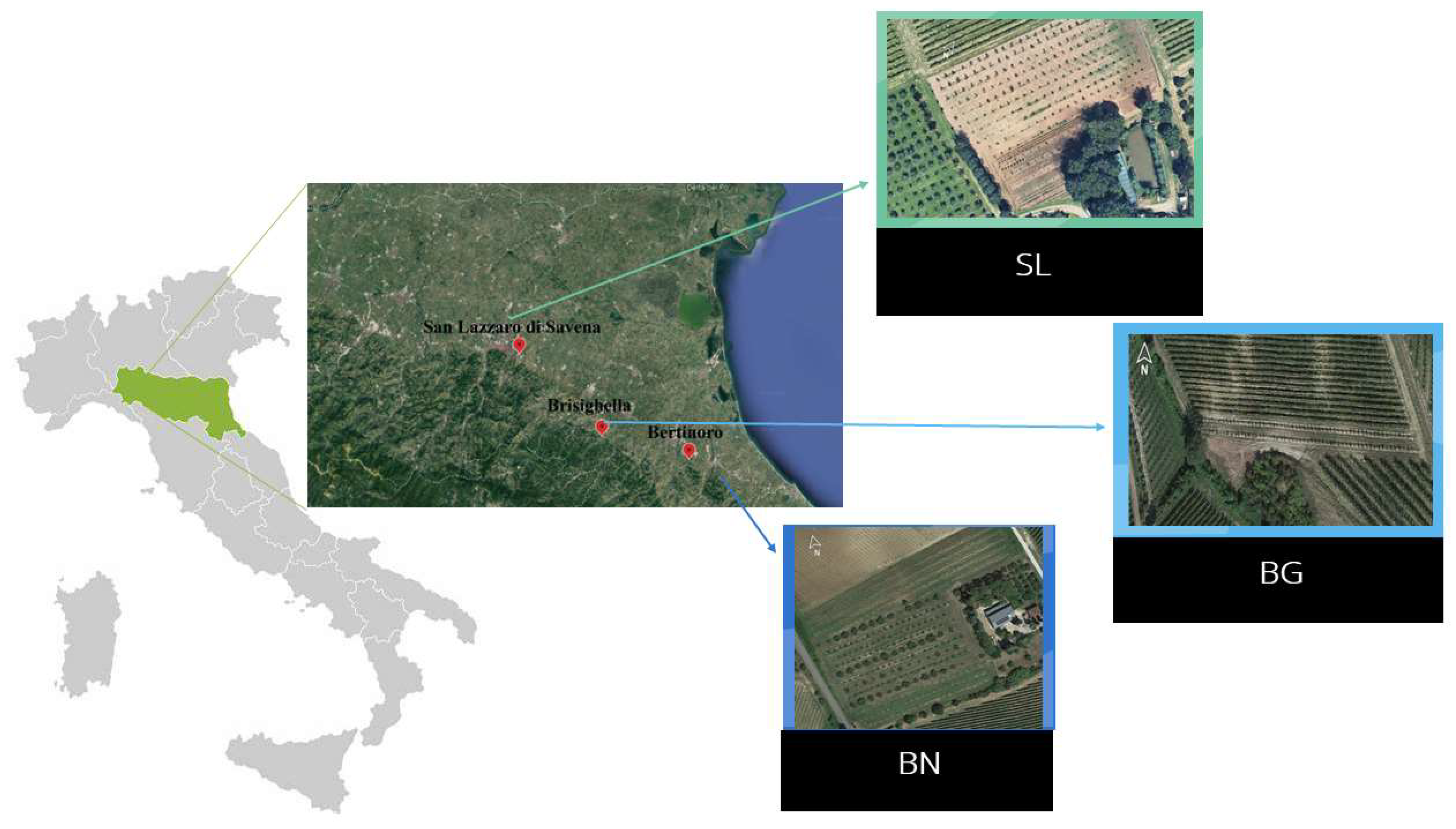 Land 11 01471 g001 Land 11 01471 g001