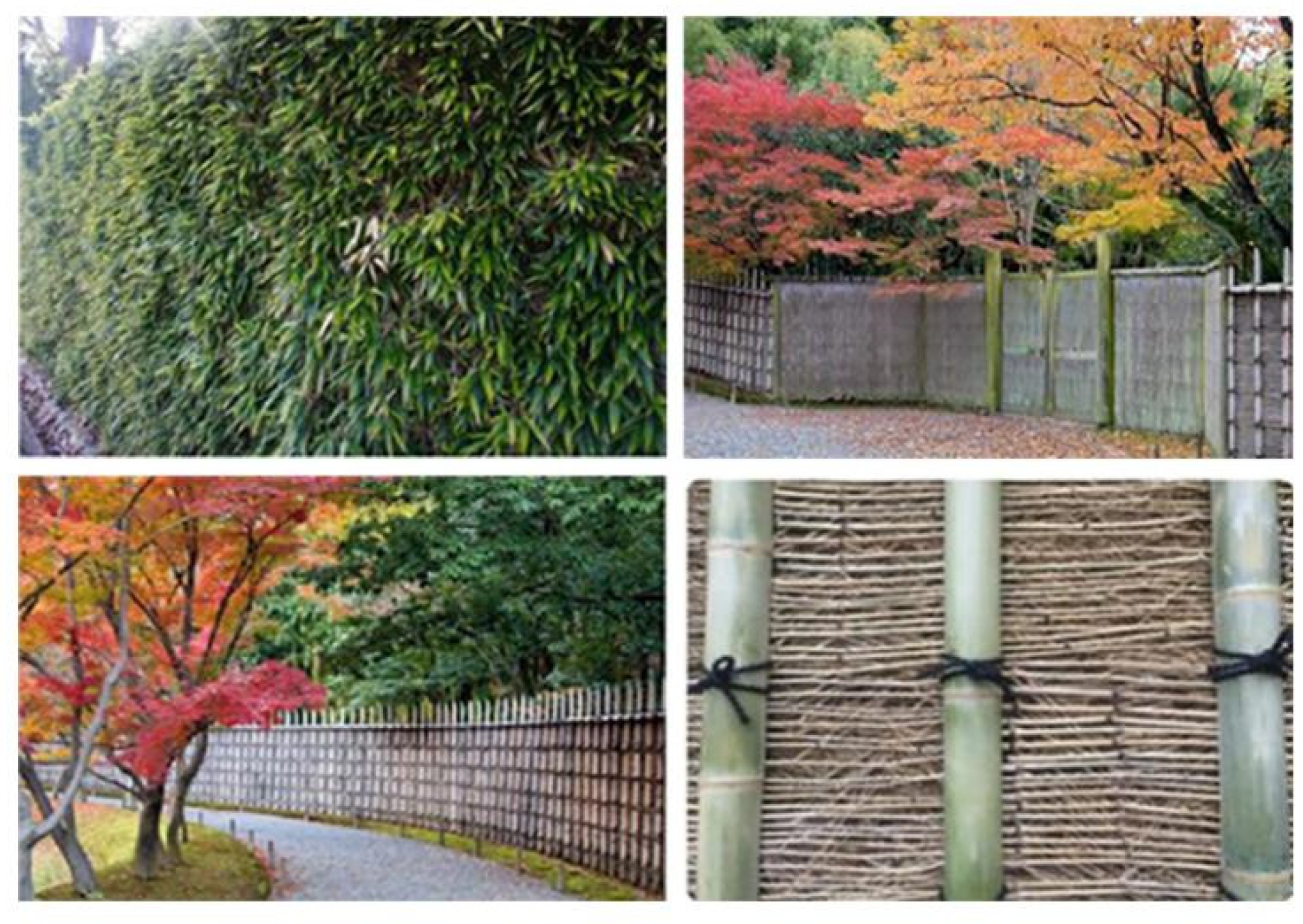 Land 11 01474 g007 550