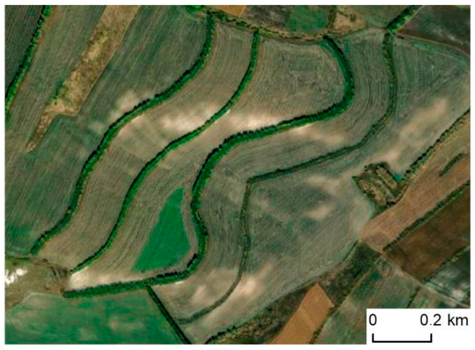 Land 11 01492 g009 550