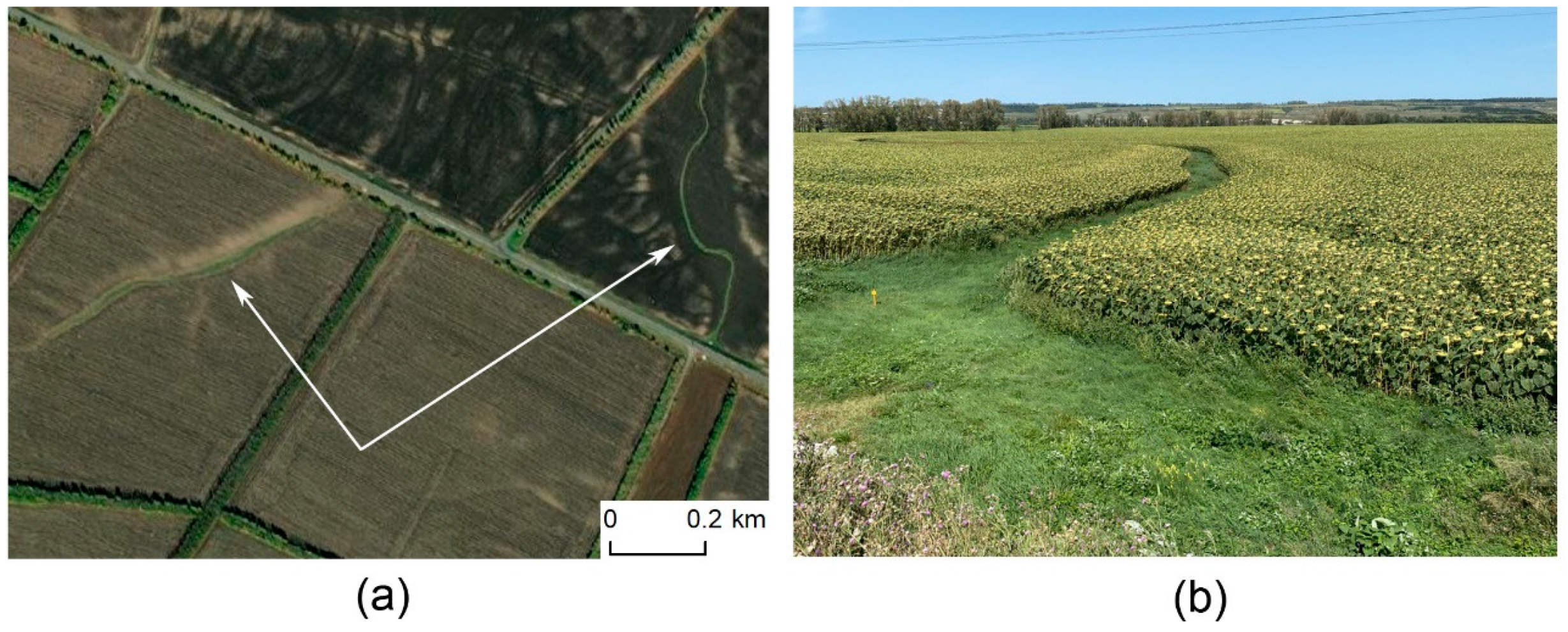 Land 11 01492 g010 550