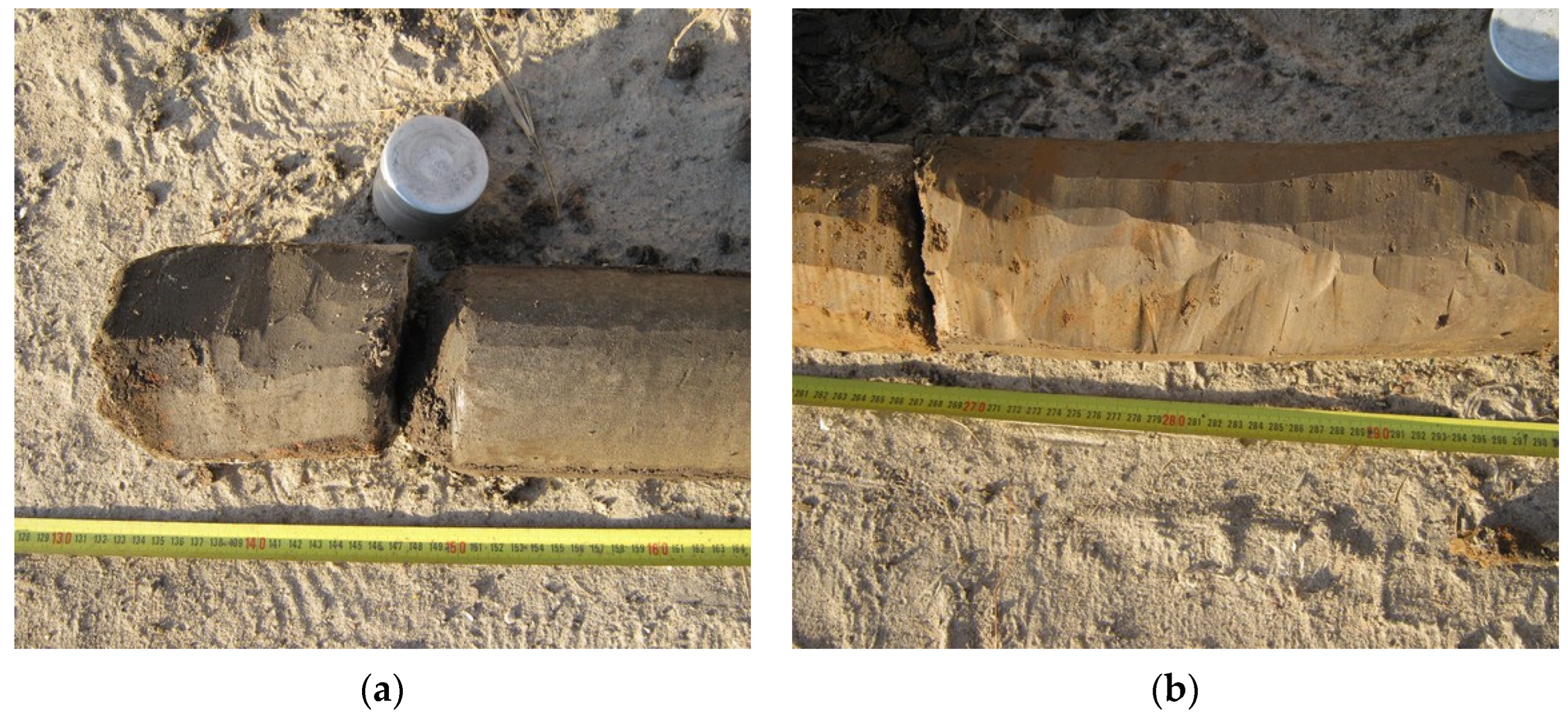 Land 11 01513 g003 550