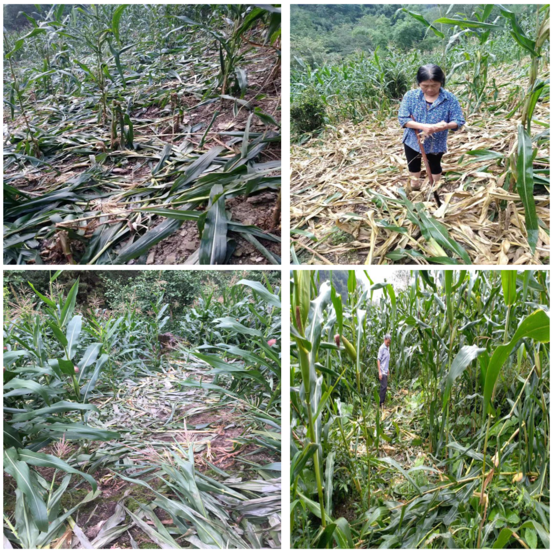 Land 11 01530 g003 550