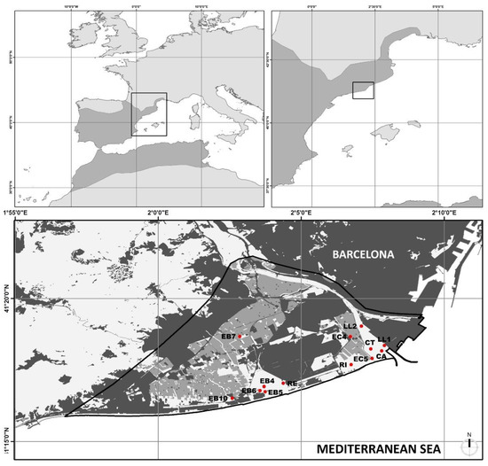 https://www.mdpi.com/land/land-11-01582/article_deploy/html/images/land-11-01582-g001-550.jpg