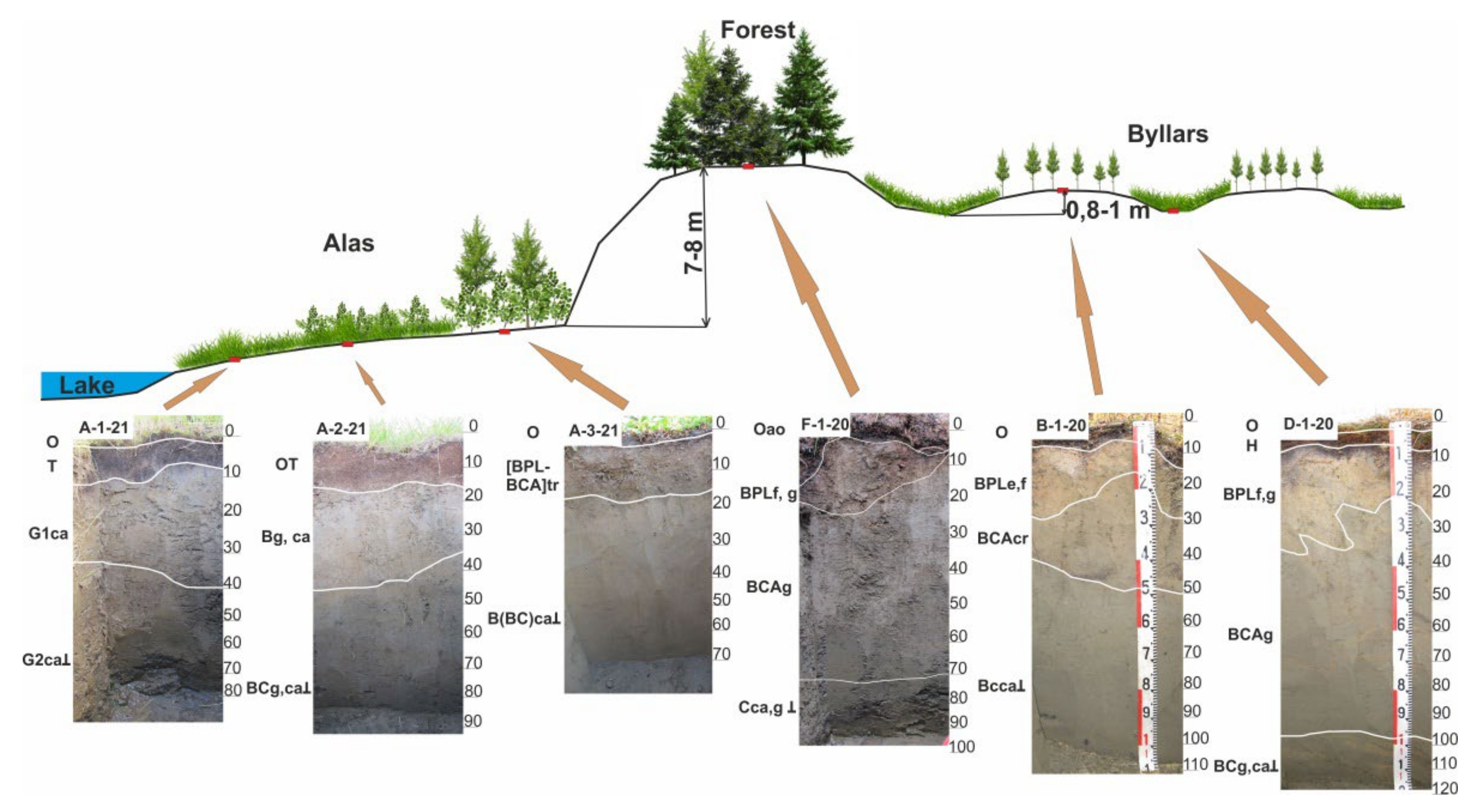 Land 11 01594 g004 Land 11 01594 g004