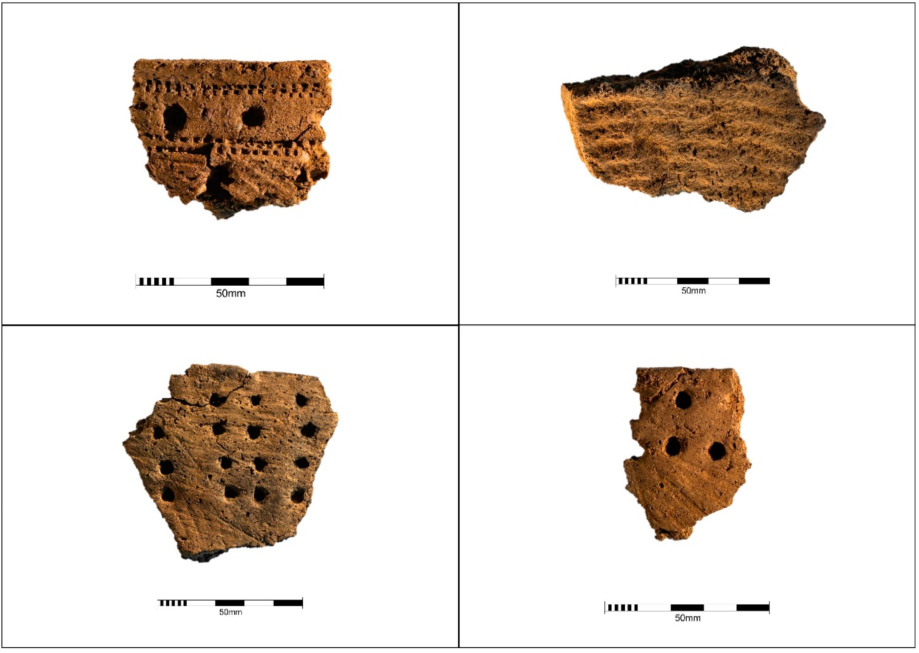 Land 11 01606 g002 550