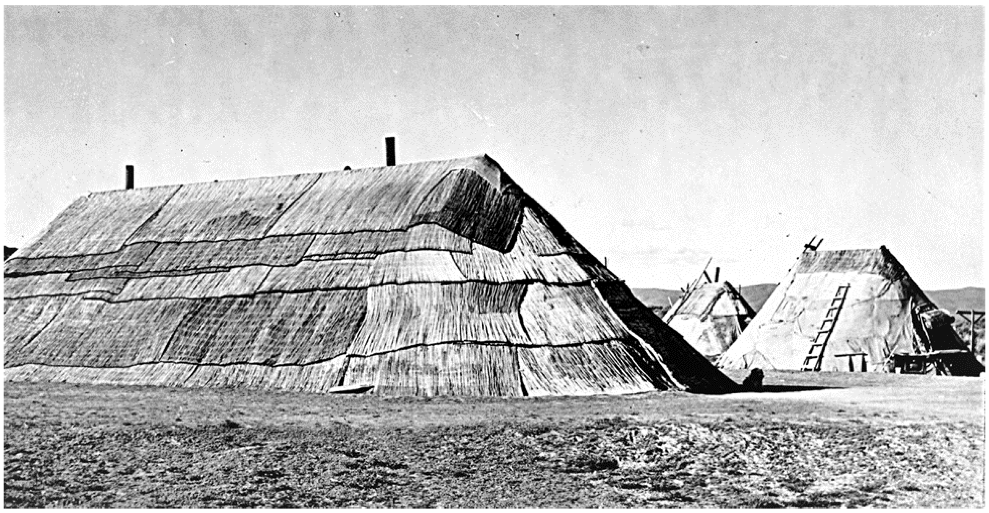 Land 11 01613 g003 550