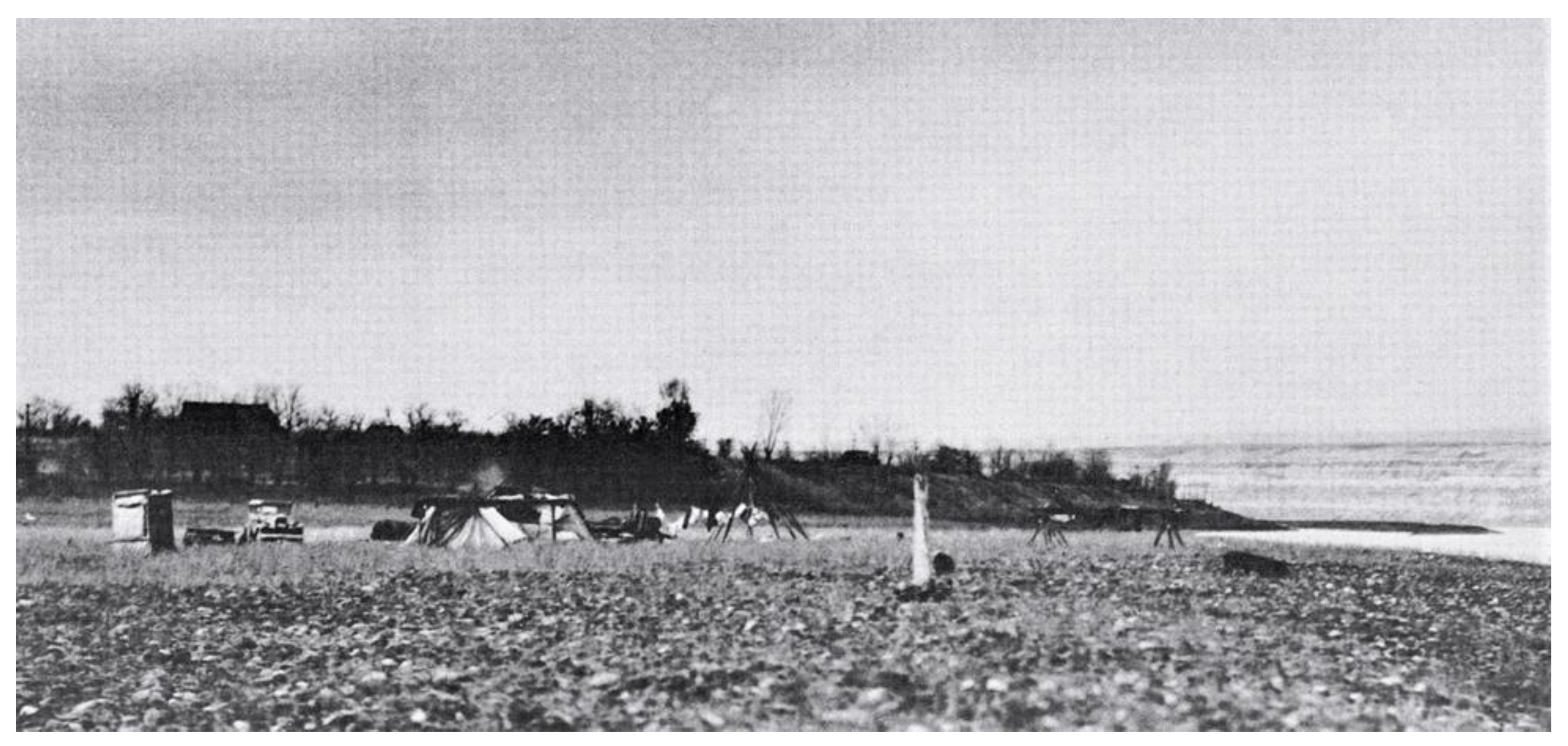 Land 11 01613 g006 550