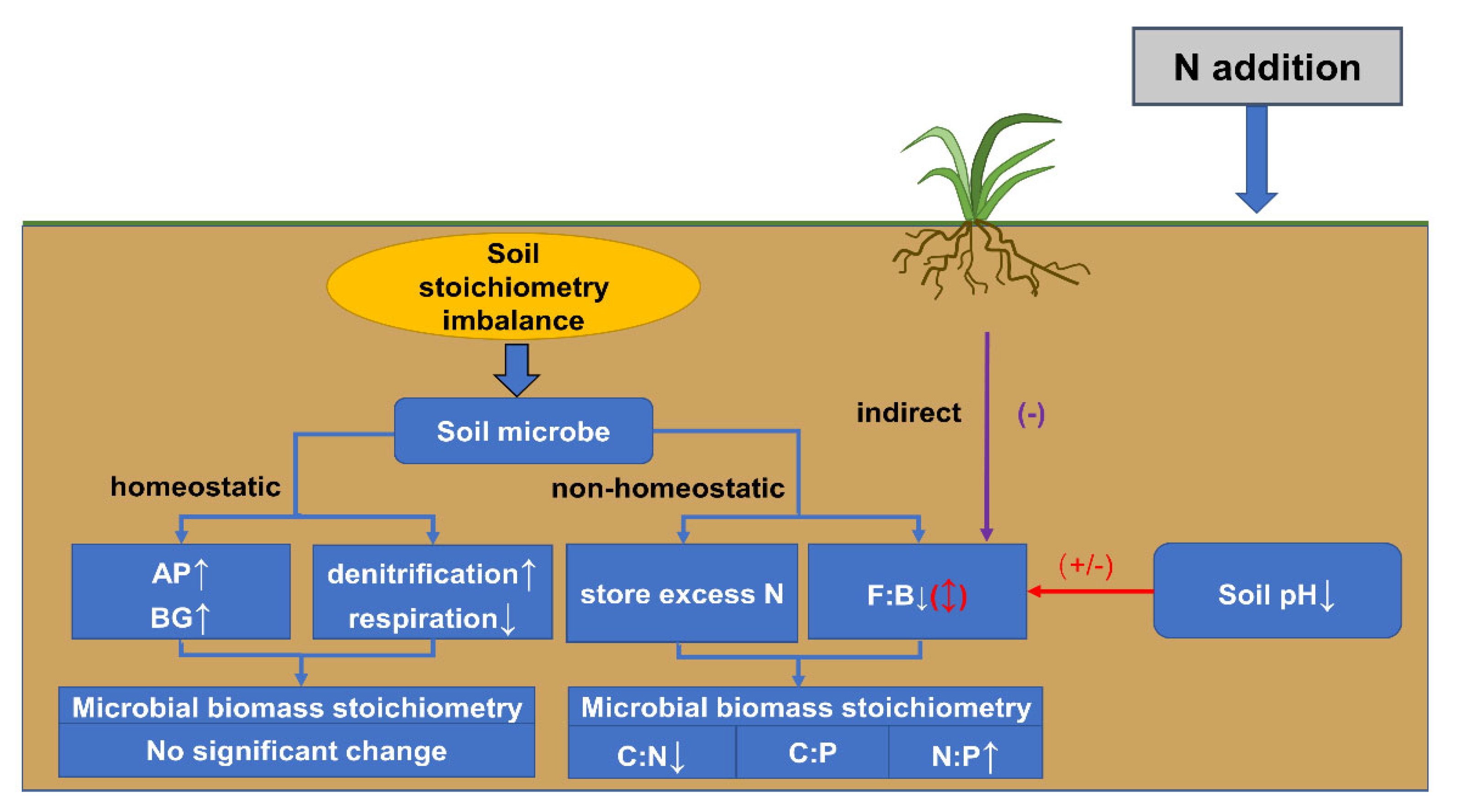 THE FIRST - 専用ページ Global Climate Change Effects on Soil Microbial Biomass