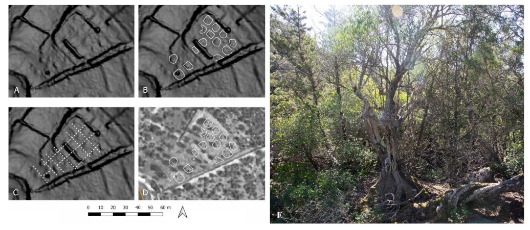 Land 11 01672 g016 Land 11 01672 g016