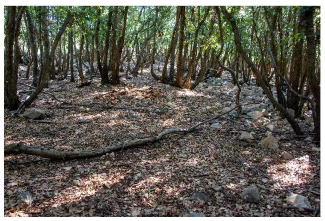 Land 11 01672 g018 Land 11 01672 g018