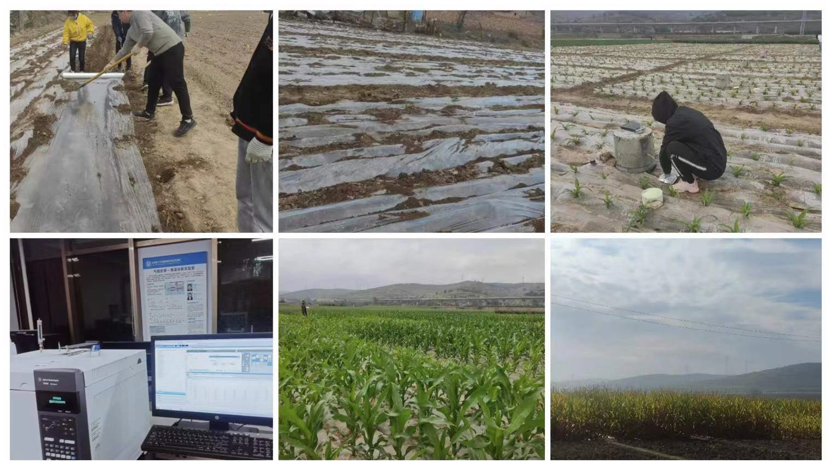 Land 11 01702 g002 Land 11 01702 g002