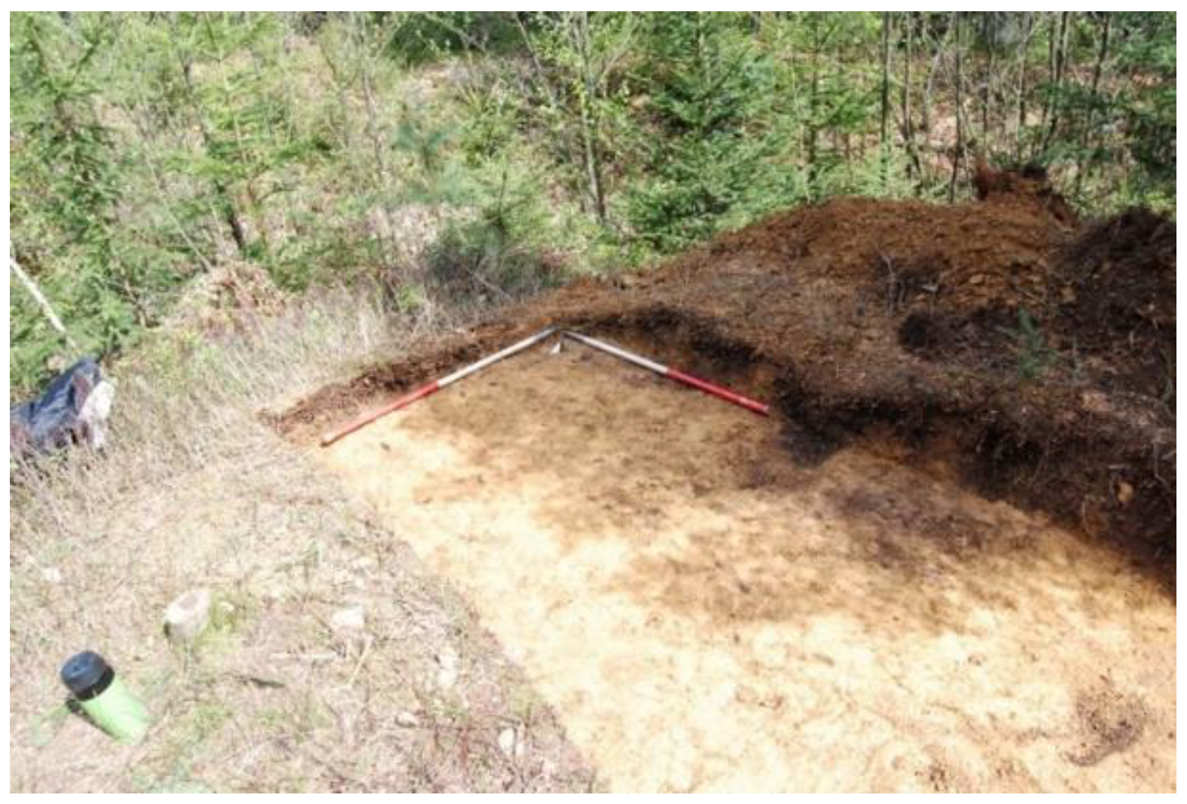 Land 11 01756 g007 Land 11 01756 g007