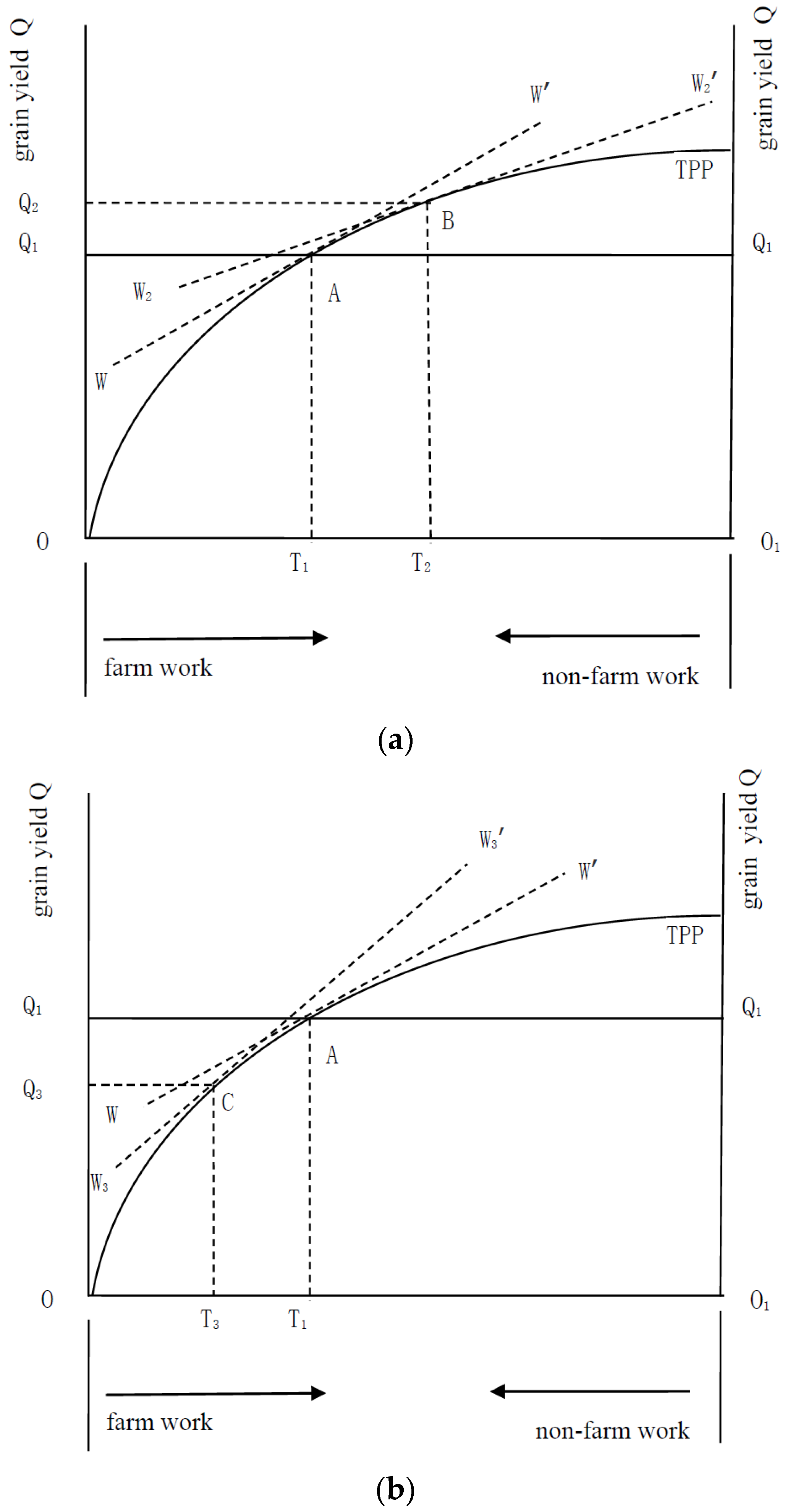 Land 11 01777 g004 Land 11 01777 g004
