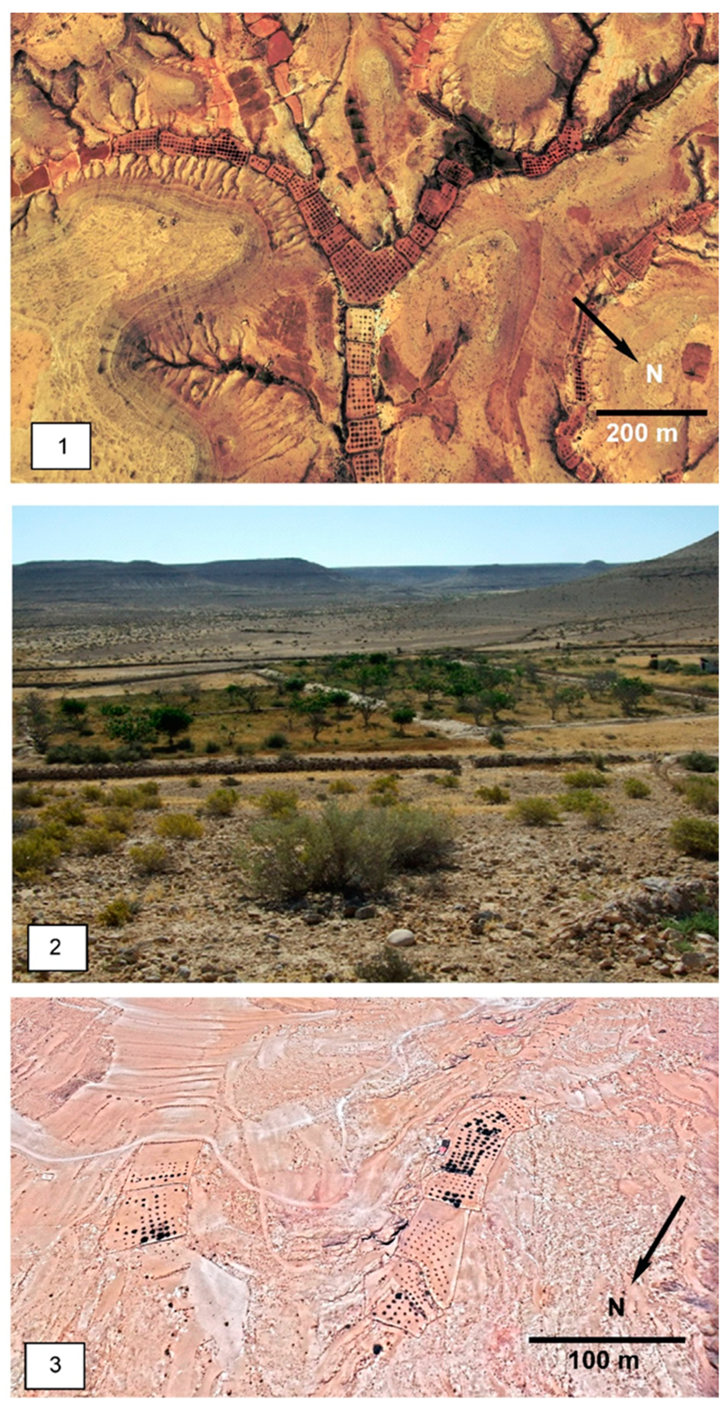 Land 11 01798 g002 Land 11 01798 g002