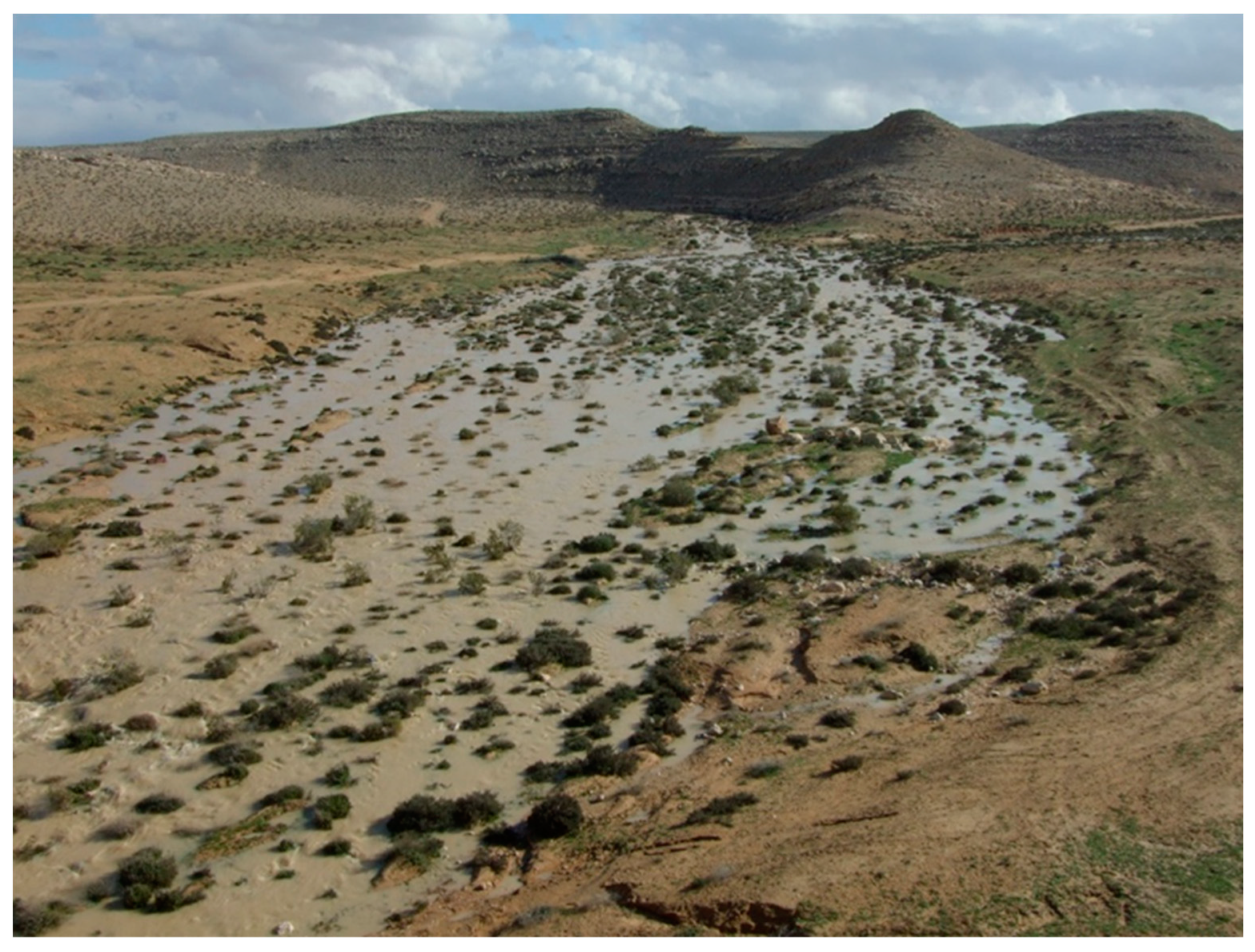 Land 11 01798 g003 Land 11 01798 g003