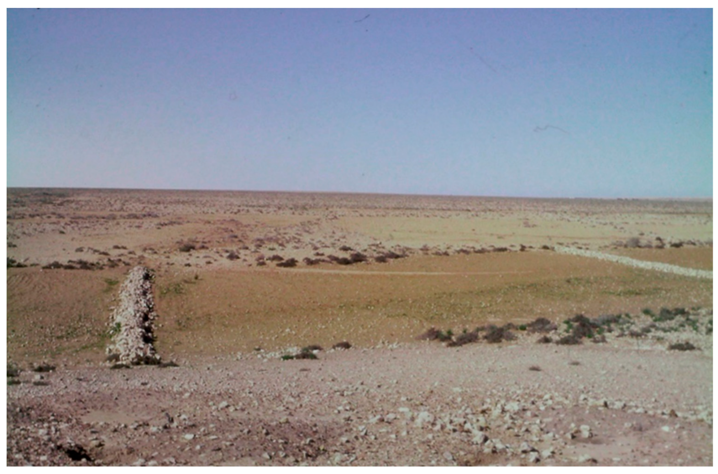 Land 11 01798 g005 Land 11 01798 g005