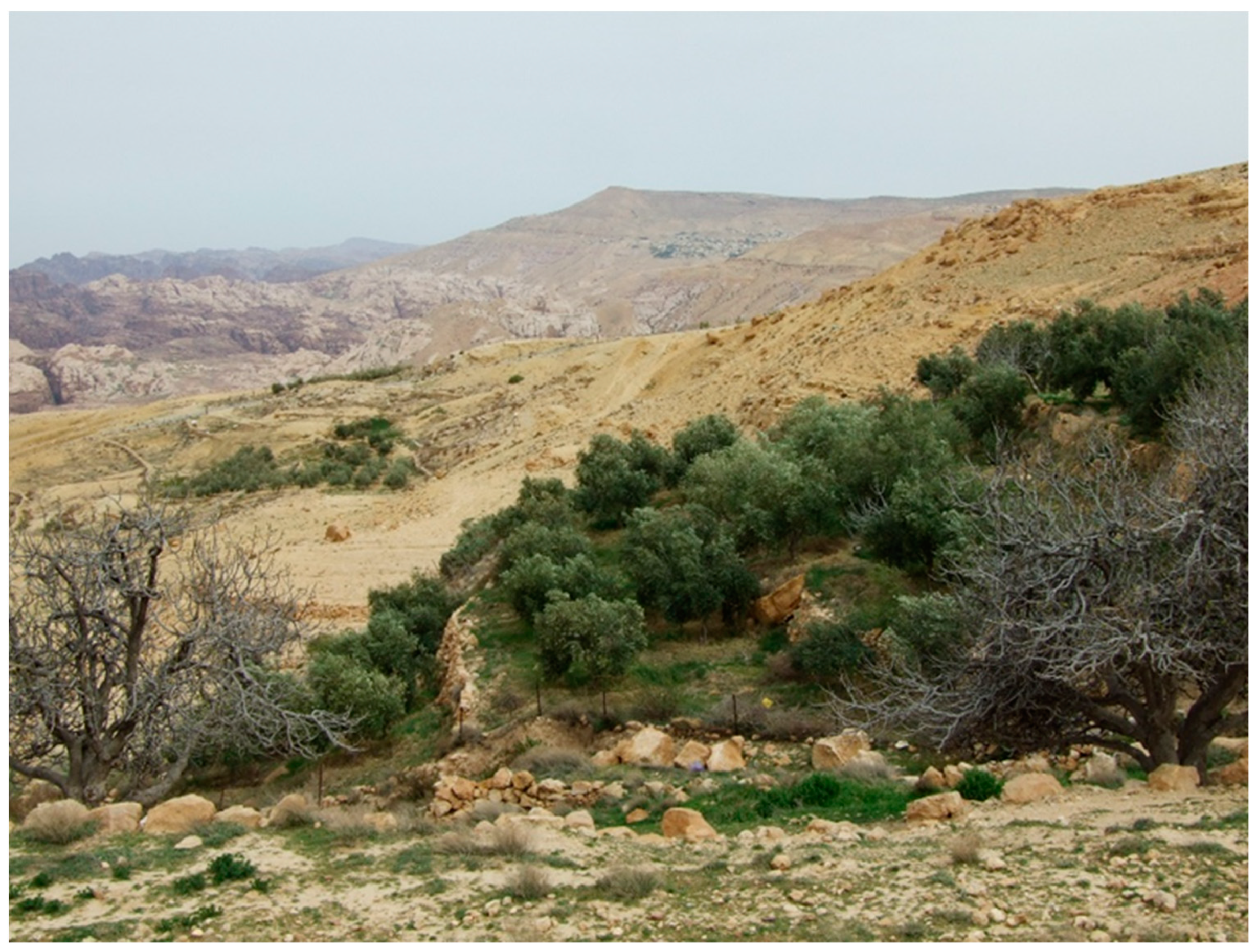 Land 11 01798 g006 Land 11 01798 g006