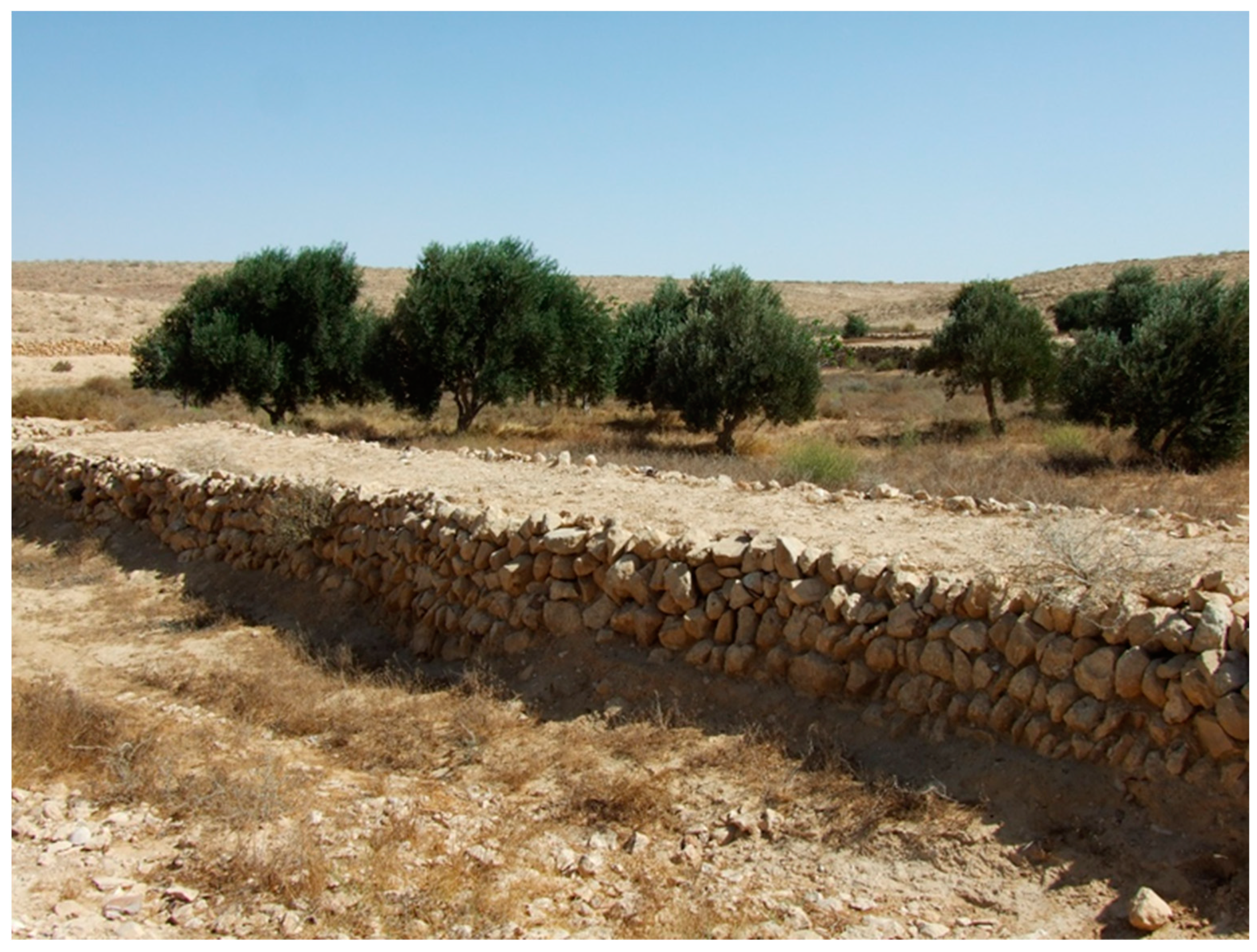 Land 11 01798 g008 Land 11 01798 g008