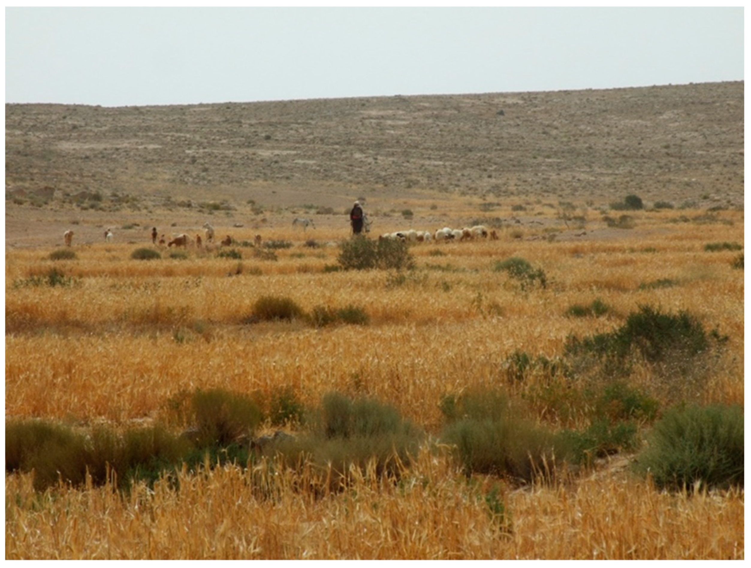 Land 11 01798 g011 Land 11 01798 g011