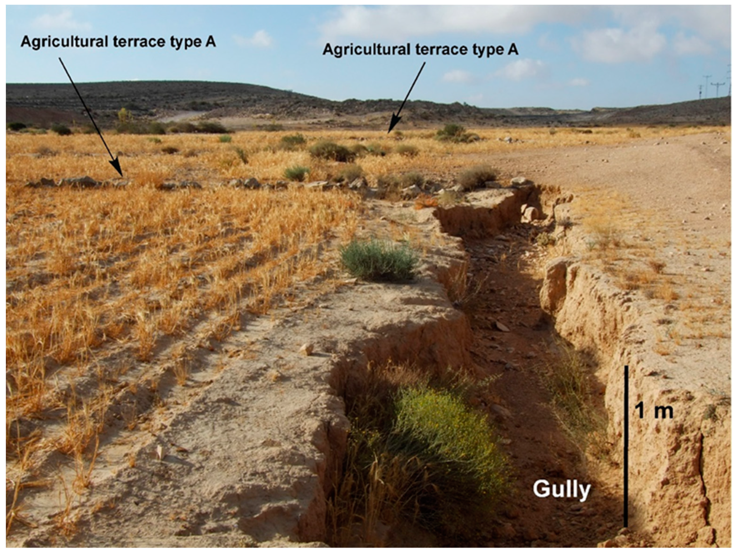 Land 11 01798 g012 Land 11 01798 g012