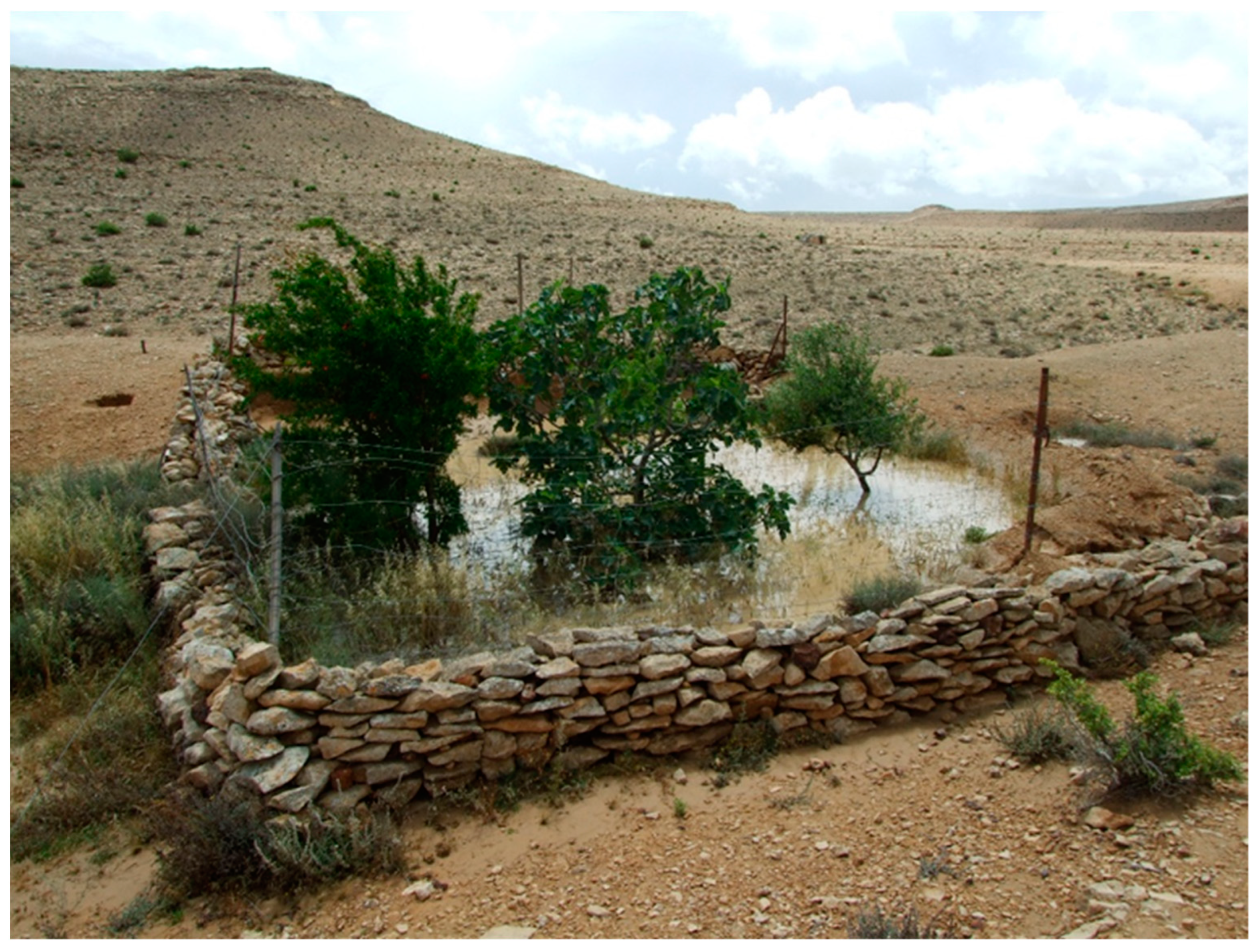 Land 11 01798 g014 Land 11 01798 g014