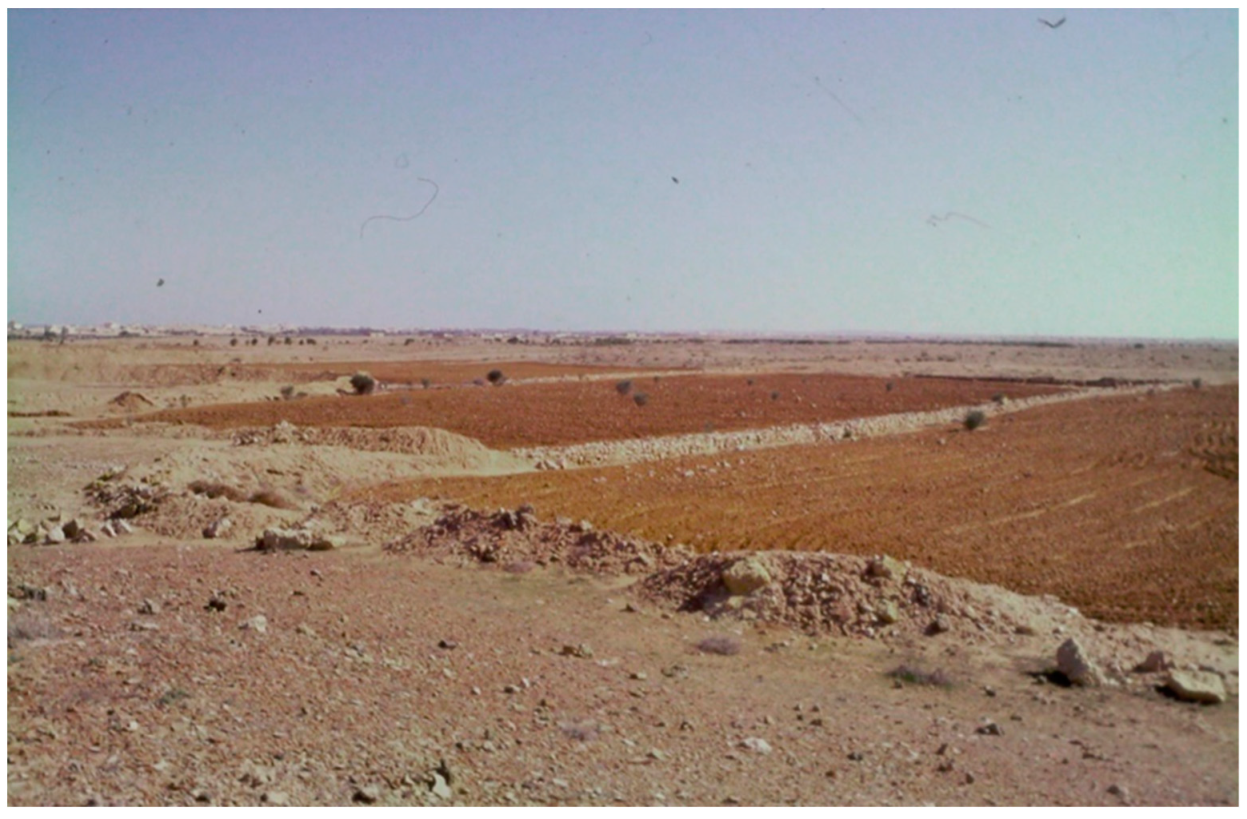 Land 11 01798 g015 Land 11 01798 g015