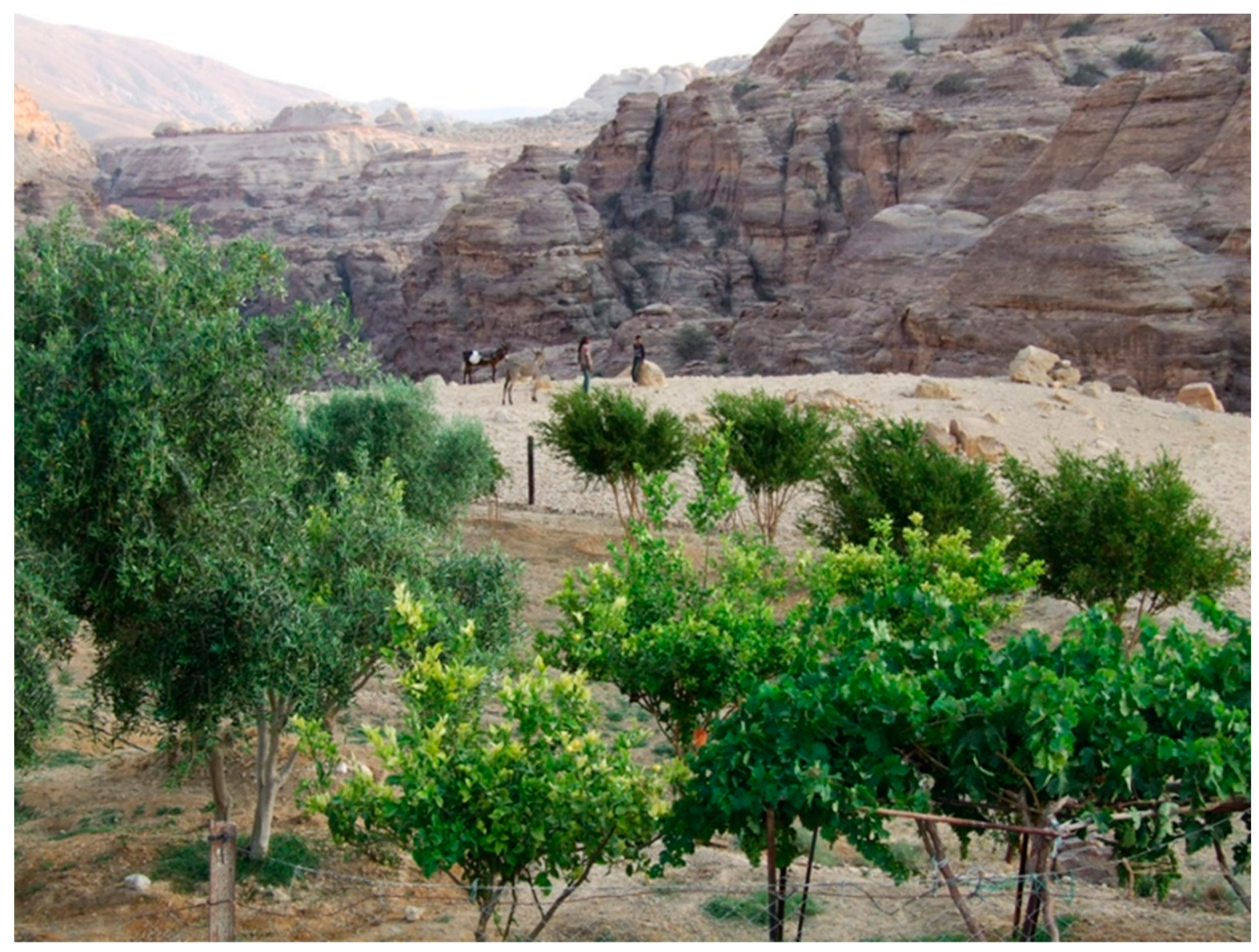 Land 11 01798 g016 Land 11 01798 g016