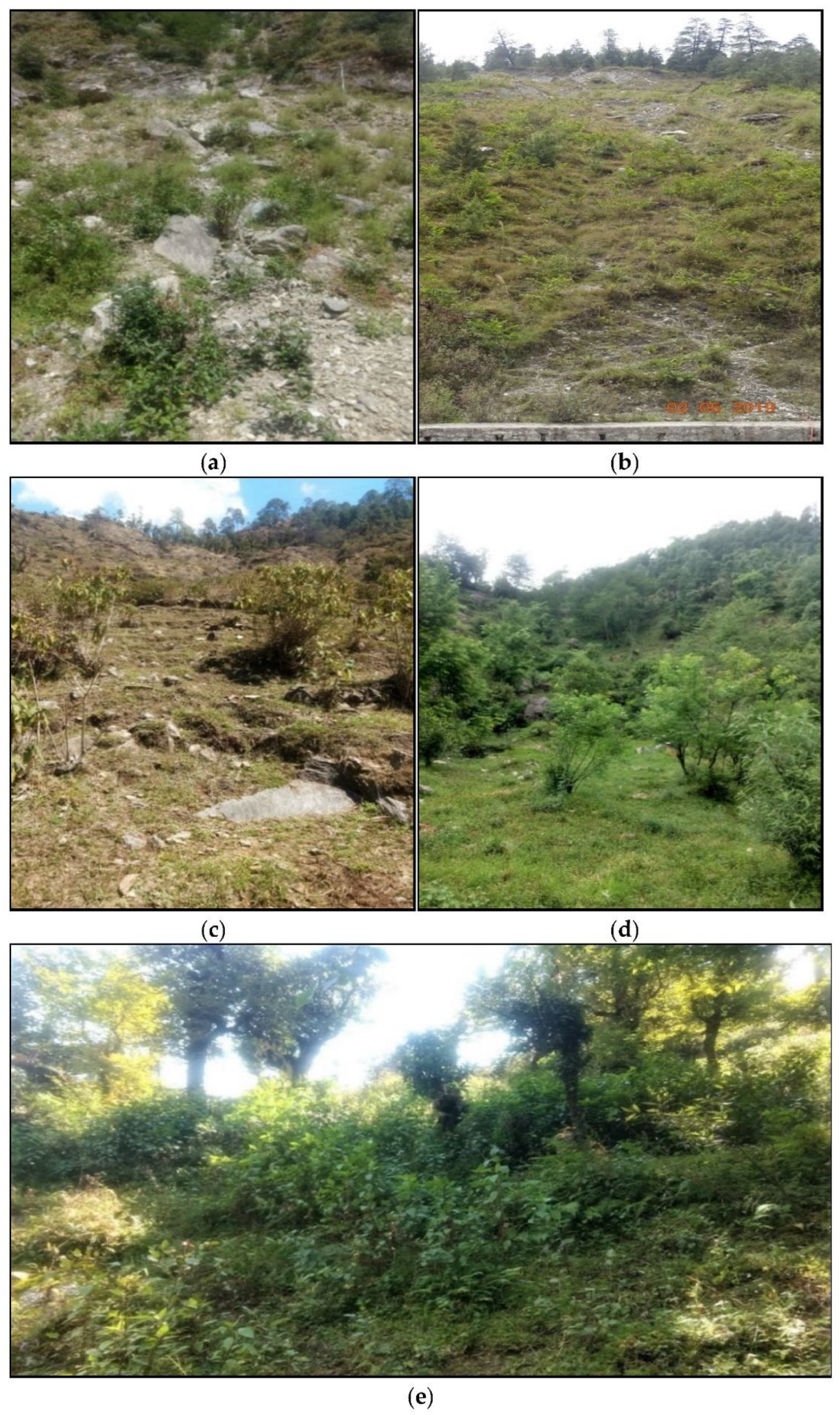 Land 11 01819 g003 Land 11 01819 g003