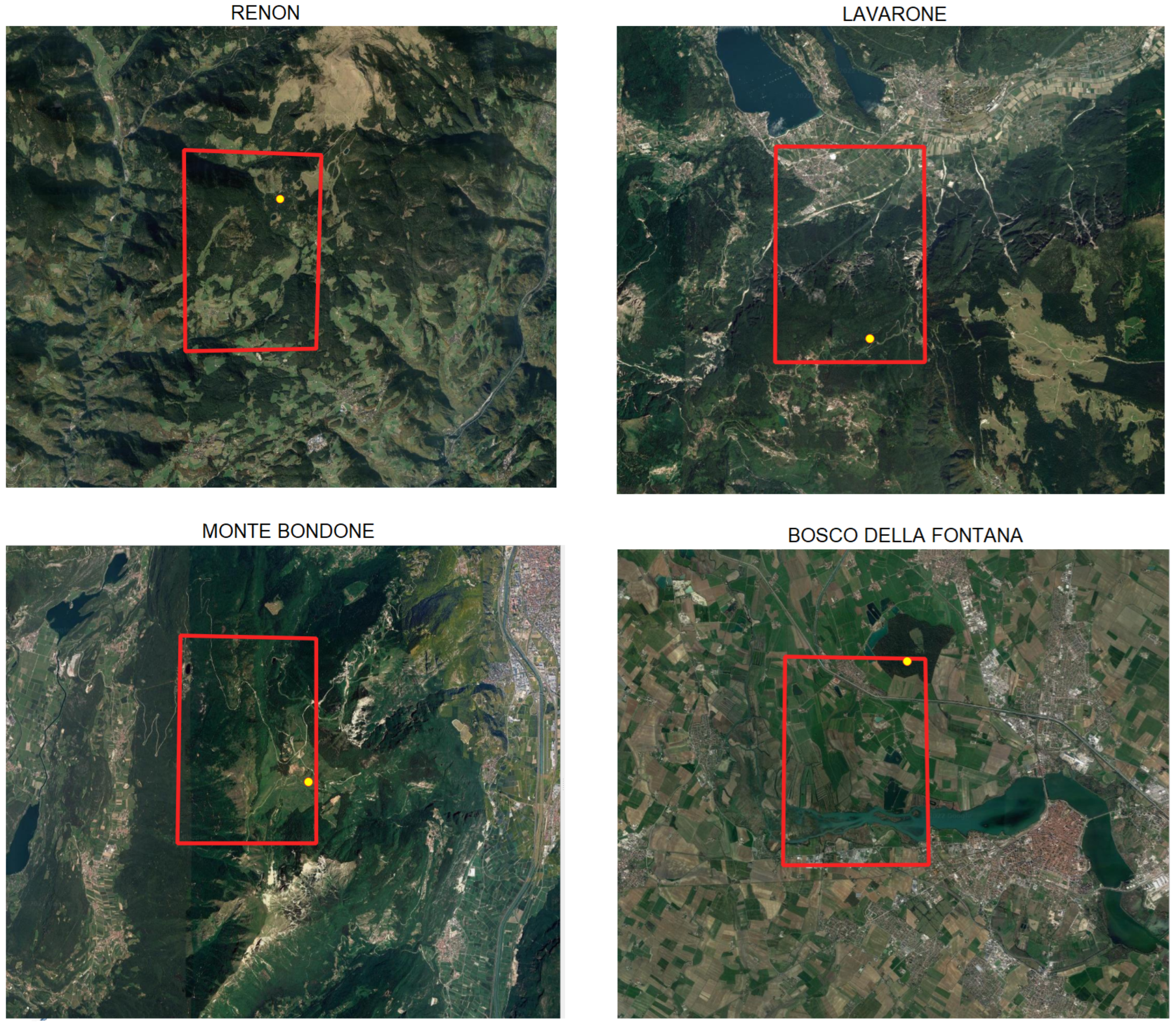 Land 11 01903 g002 Land 11 01903 g002