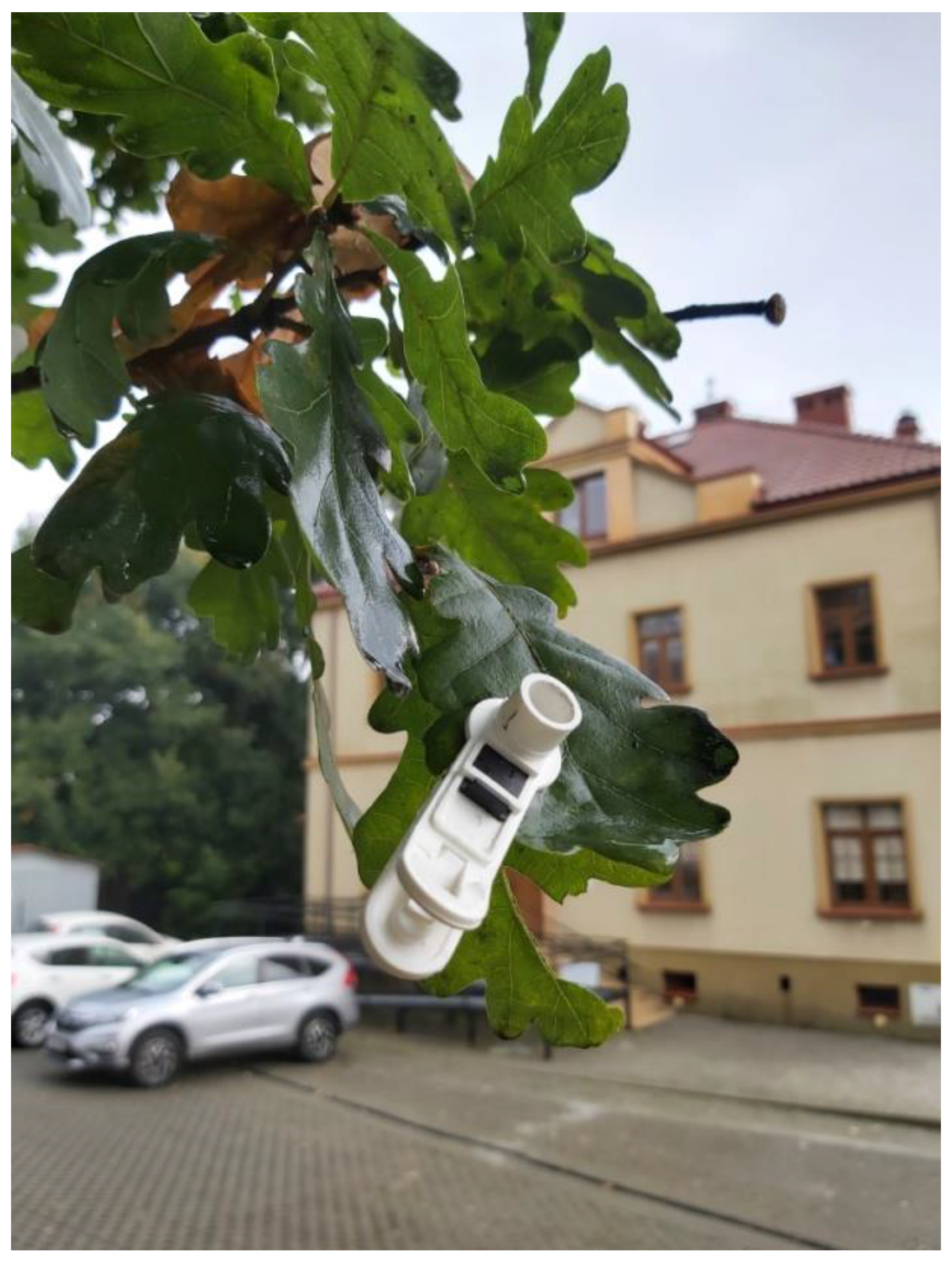 Land 11 01914 g007 Land 11 01914 g007