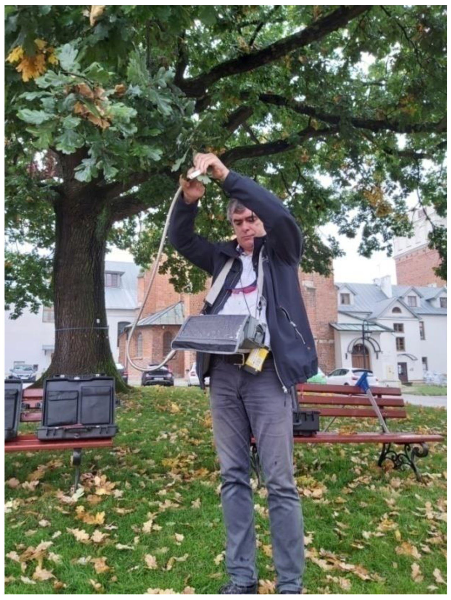 Land 11 01914 g008 Land 11 01914 g008