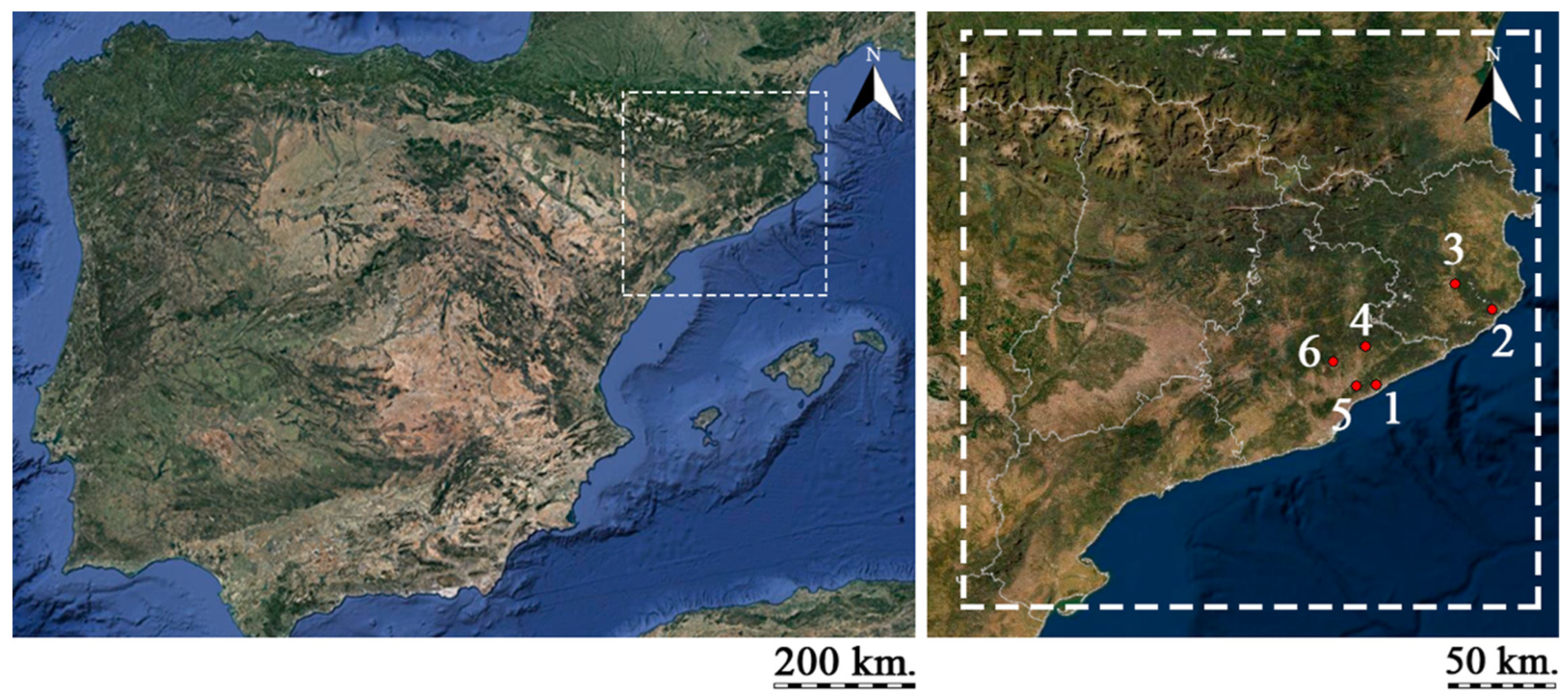 Land 11 01964 g001 Land 11 01964 g001