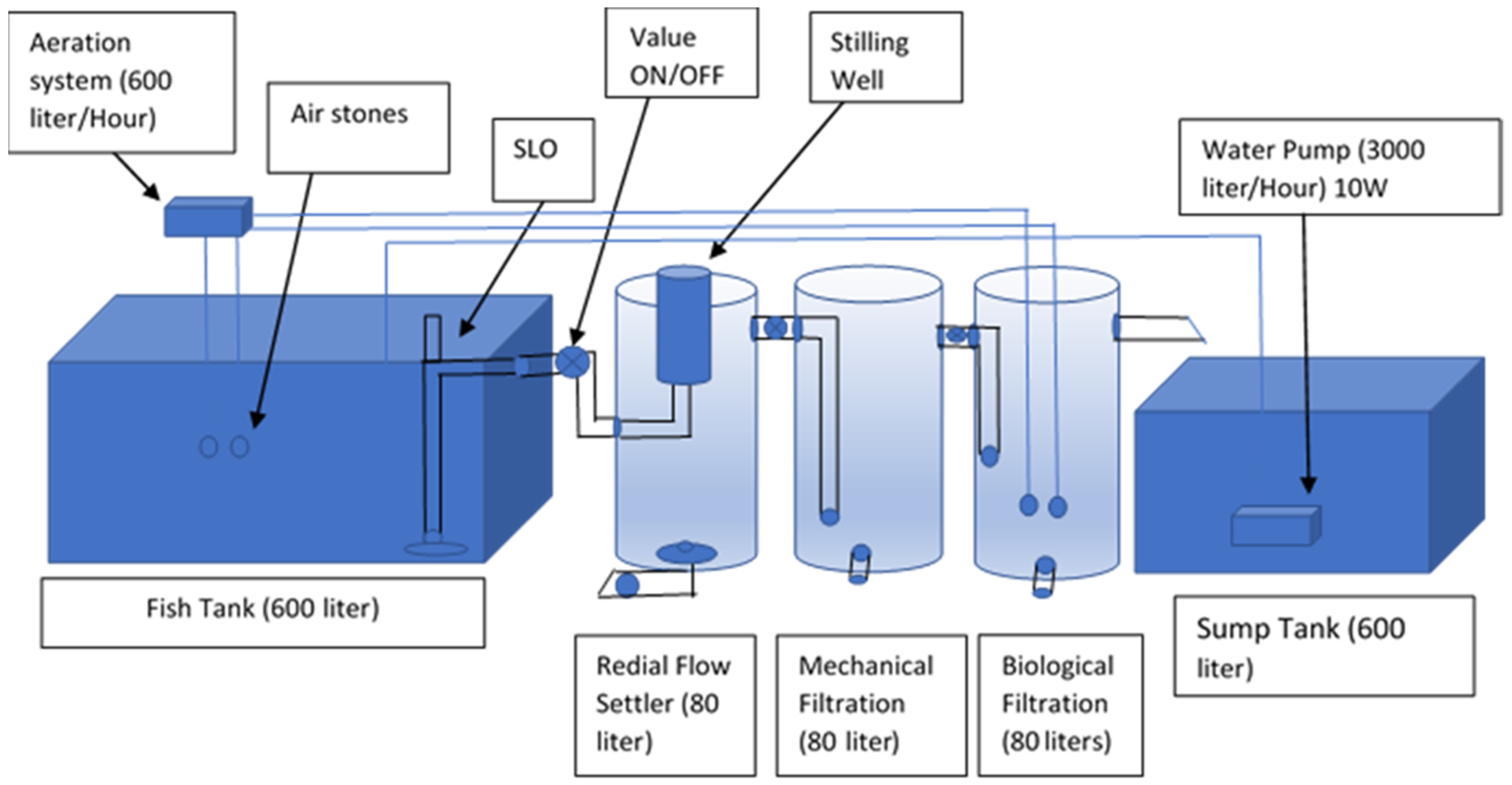Feasibility Study of a Small-Scale Recirculating Aquaculture System for ...