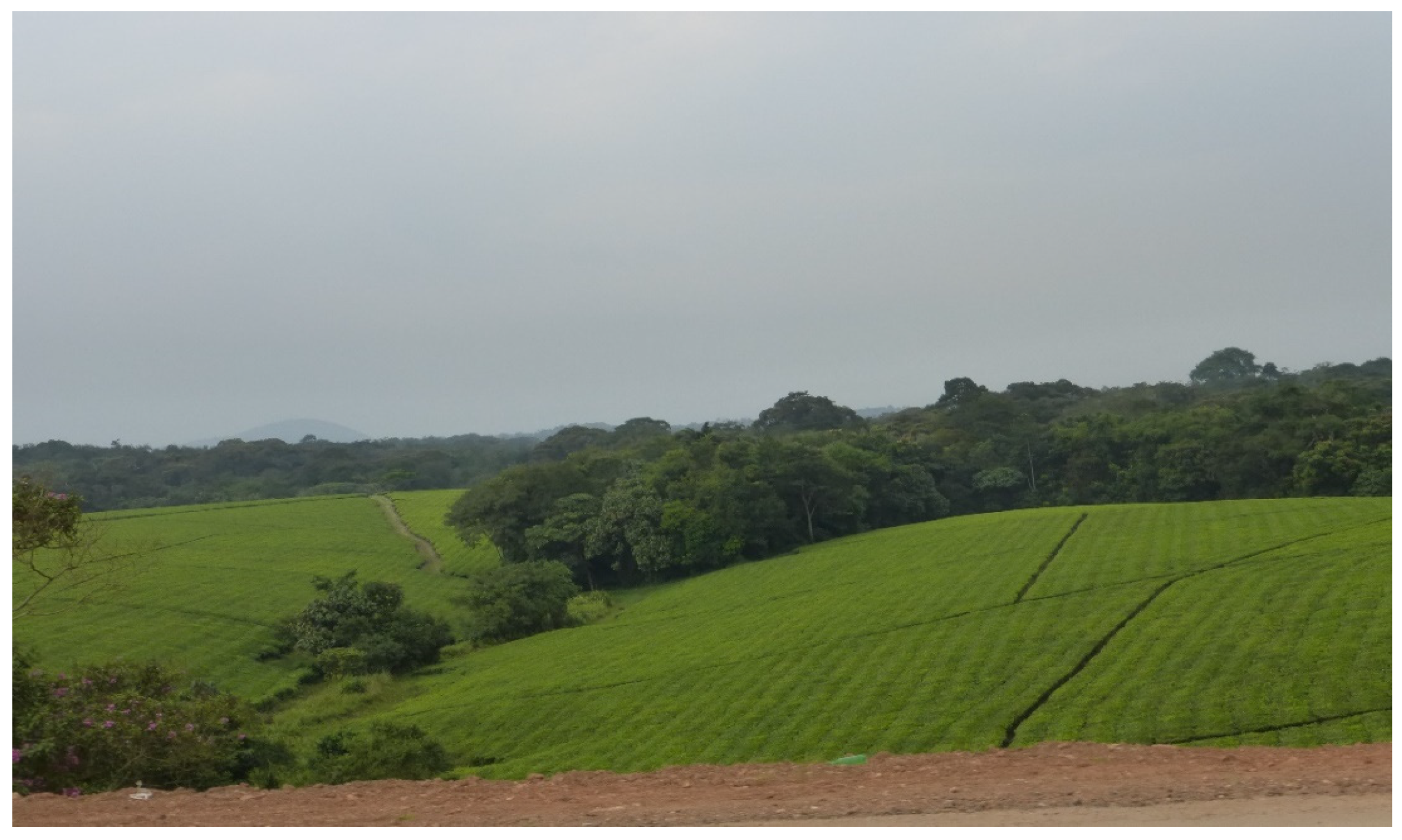 Land 11 02092 g001 Land 11 02092 g001