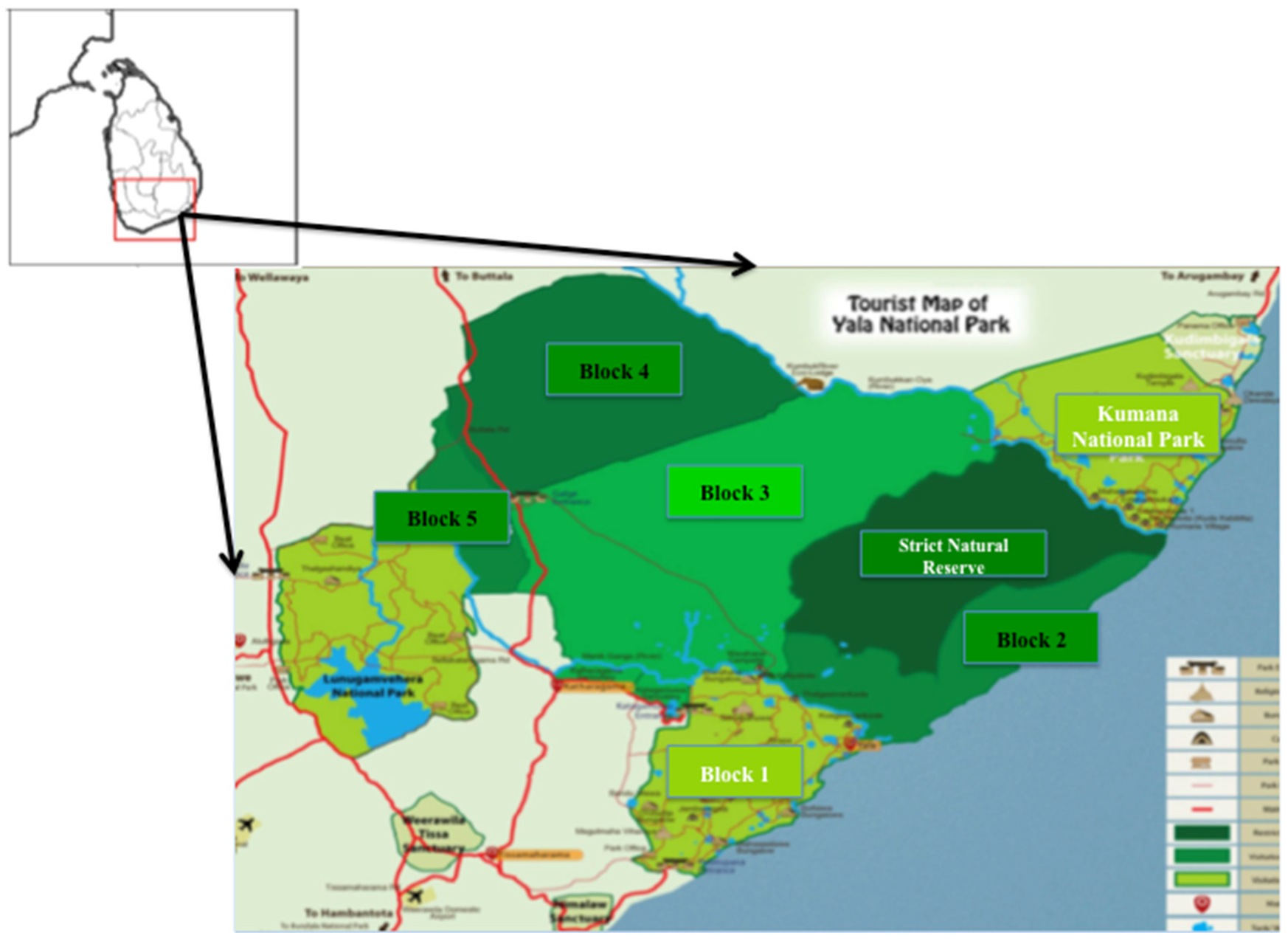 Land 11 02118 g001 Land 11 02118 g001