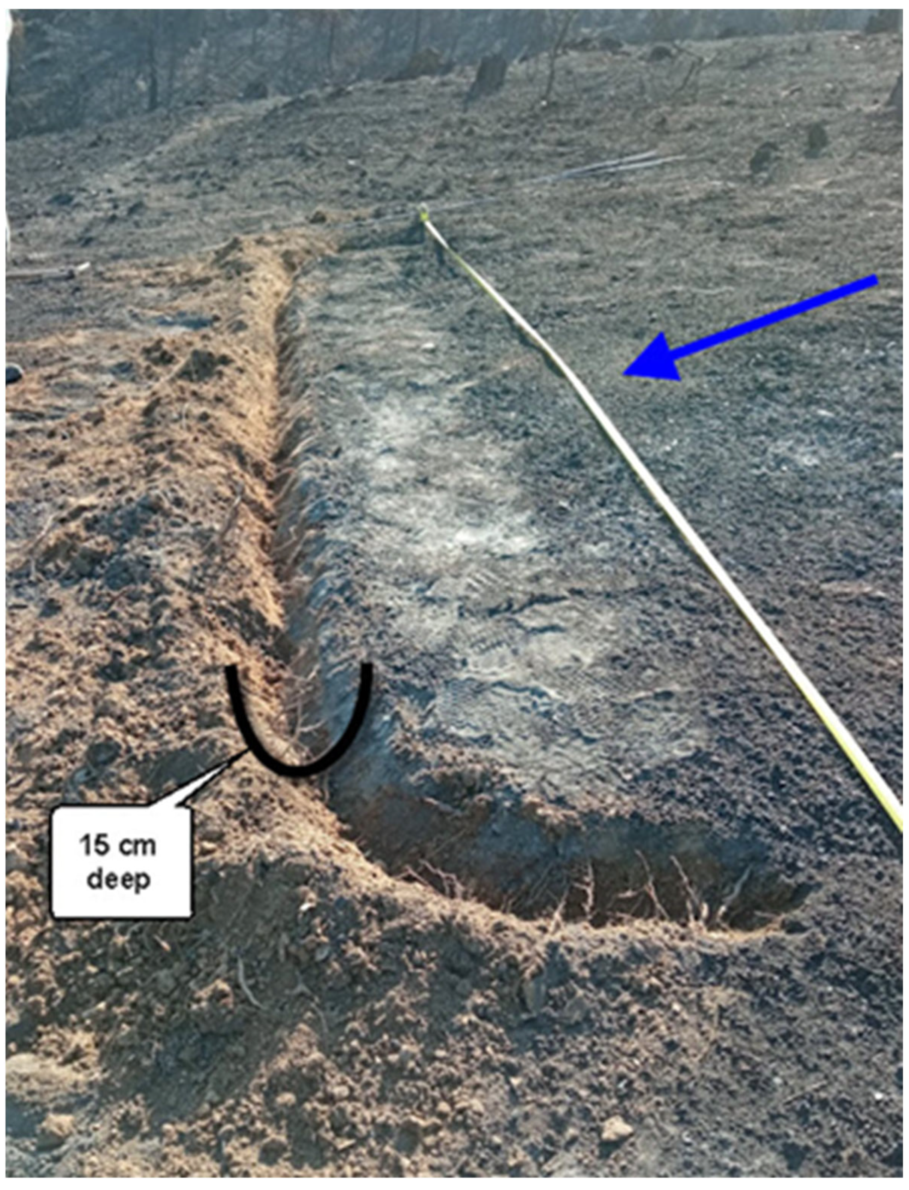 Land 11 02129 g002 Land 11 02129 g002