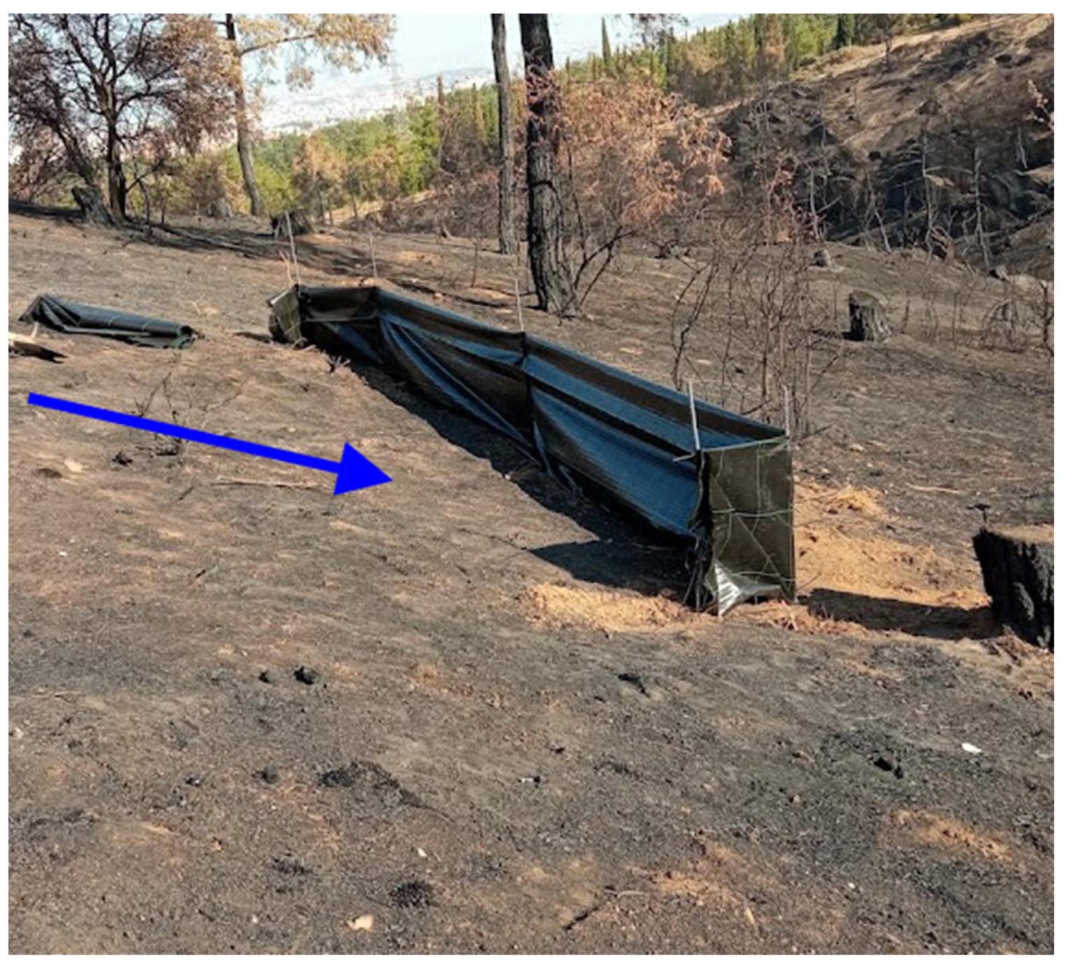 Land 11 02129 g004 Land 11 02129 g004