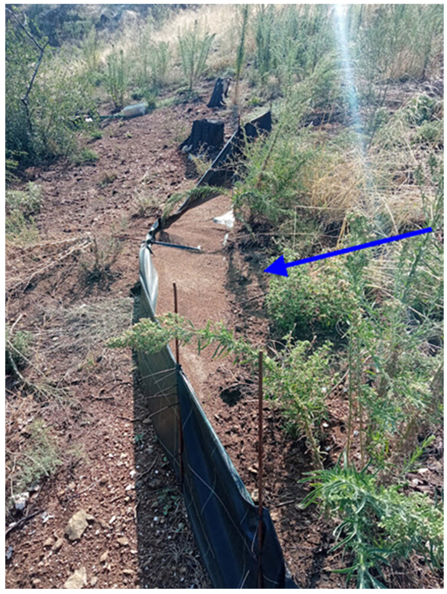 Land 11 02129 g006 Land 11 02129 g006