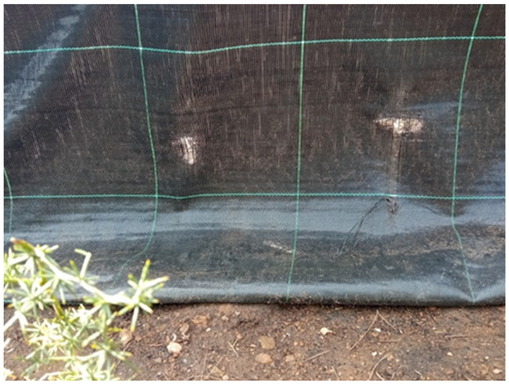 Land 11 02129 g007 Land 11 02129 g007