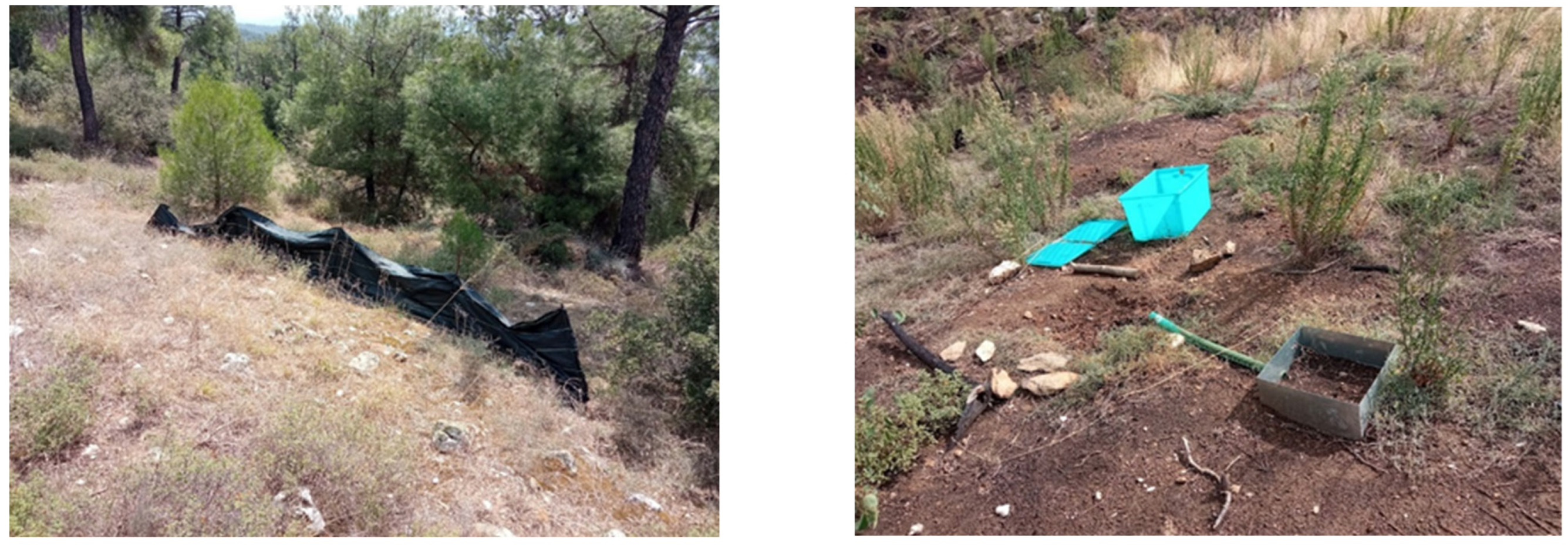 Land 11 02129 g008 Land 11 02129 g008