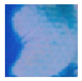 Land 11 02158 i005 Land 11 02158 i005