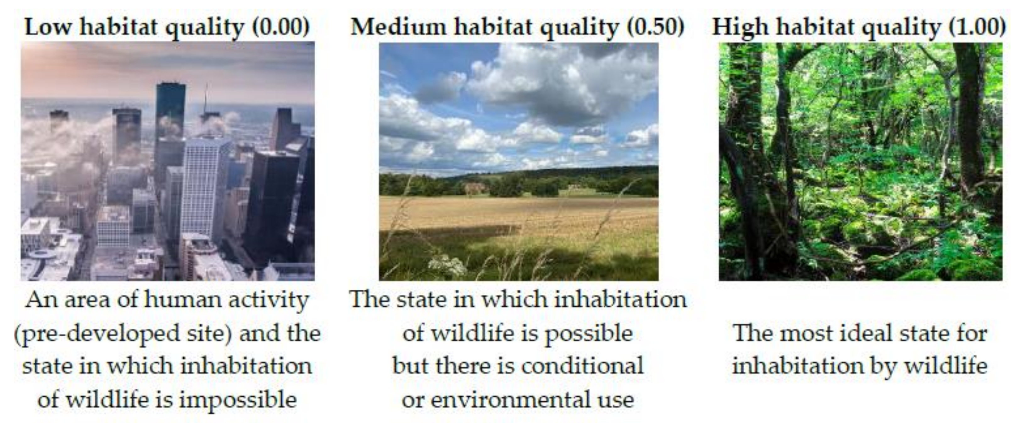 Land 11 02249 g005 550