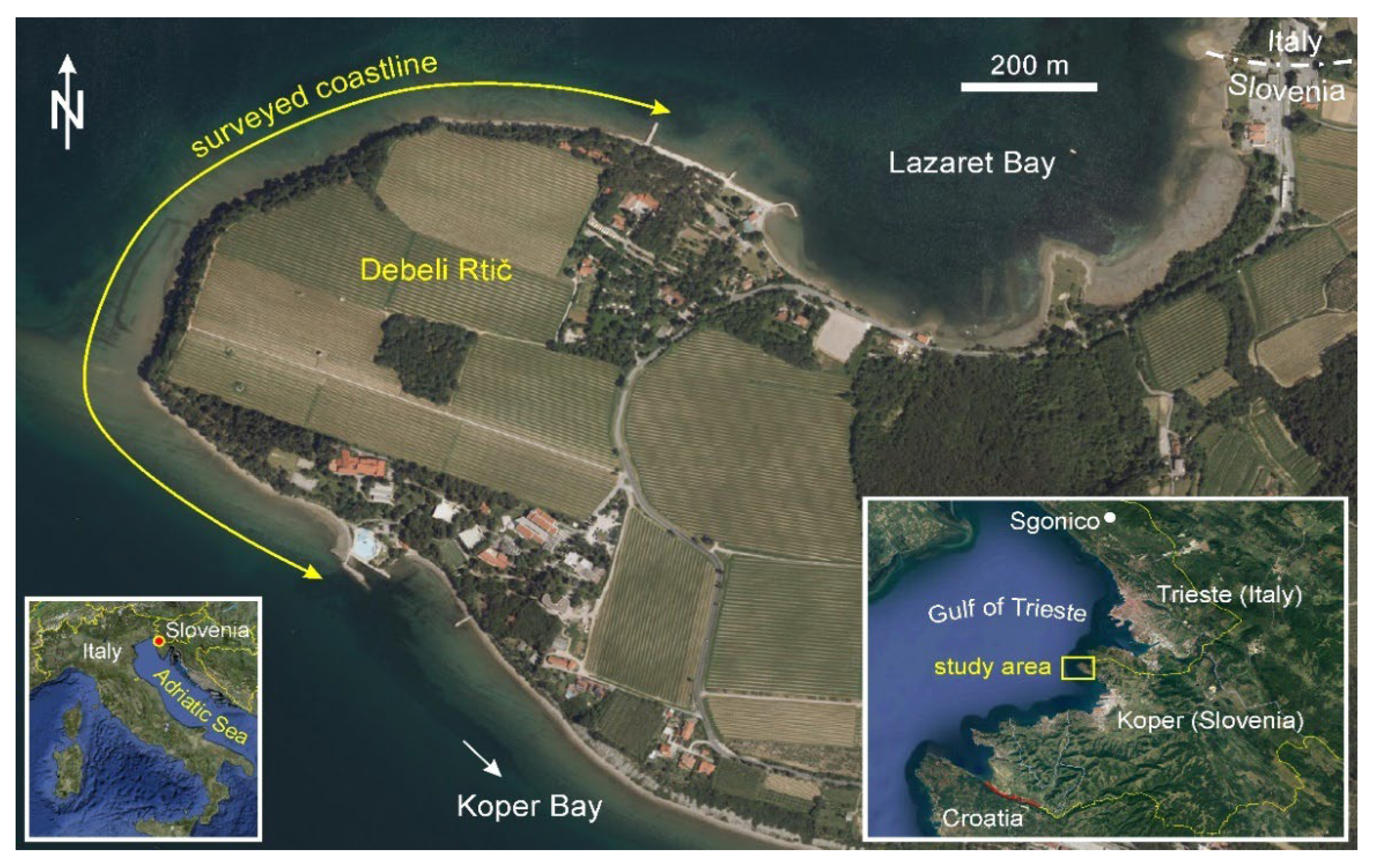 Land 11 02255 g001 Land 11 02255 g001