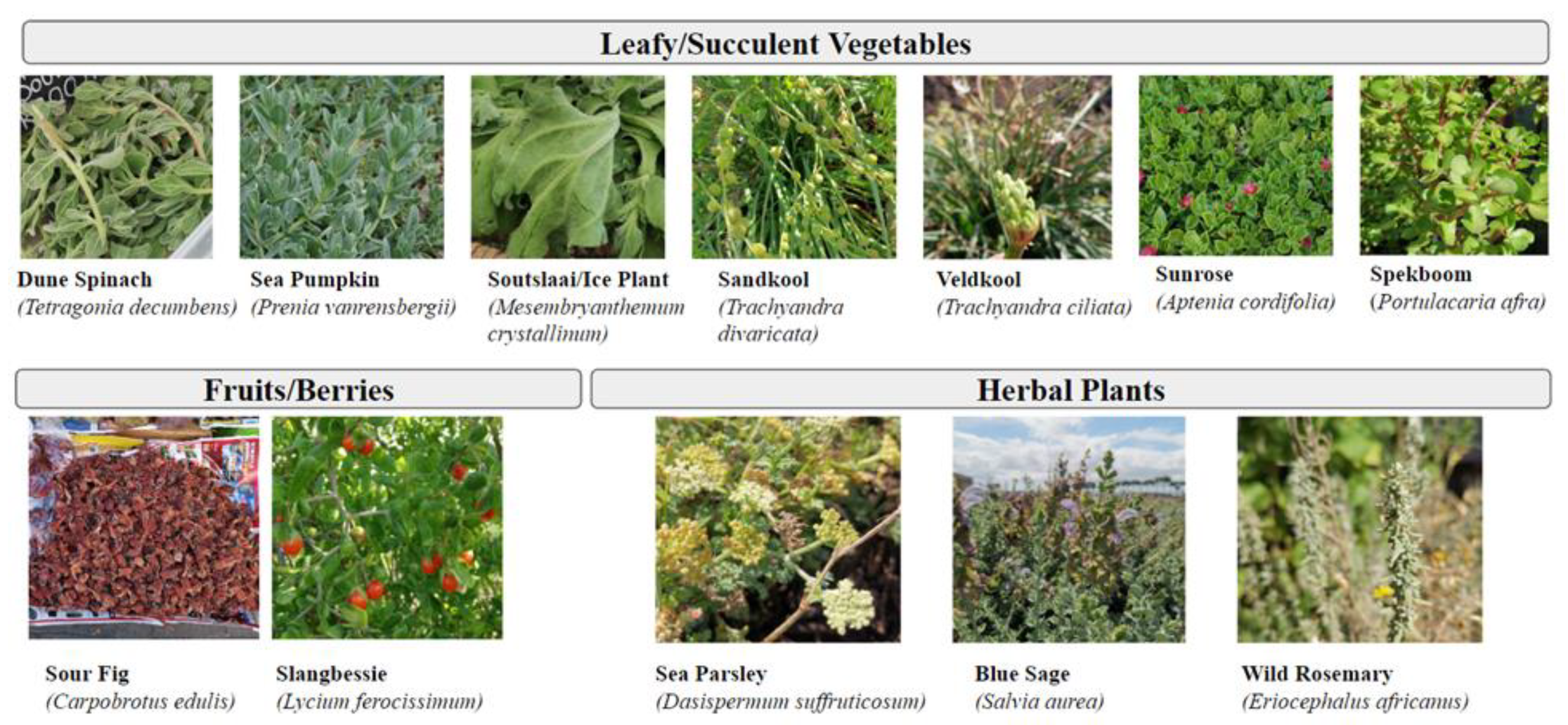 Land 11 02267 g001 Land 11 02267 g001