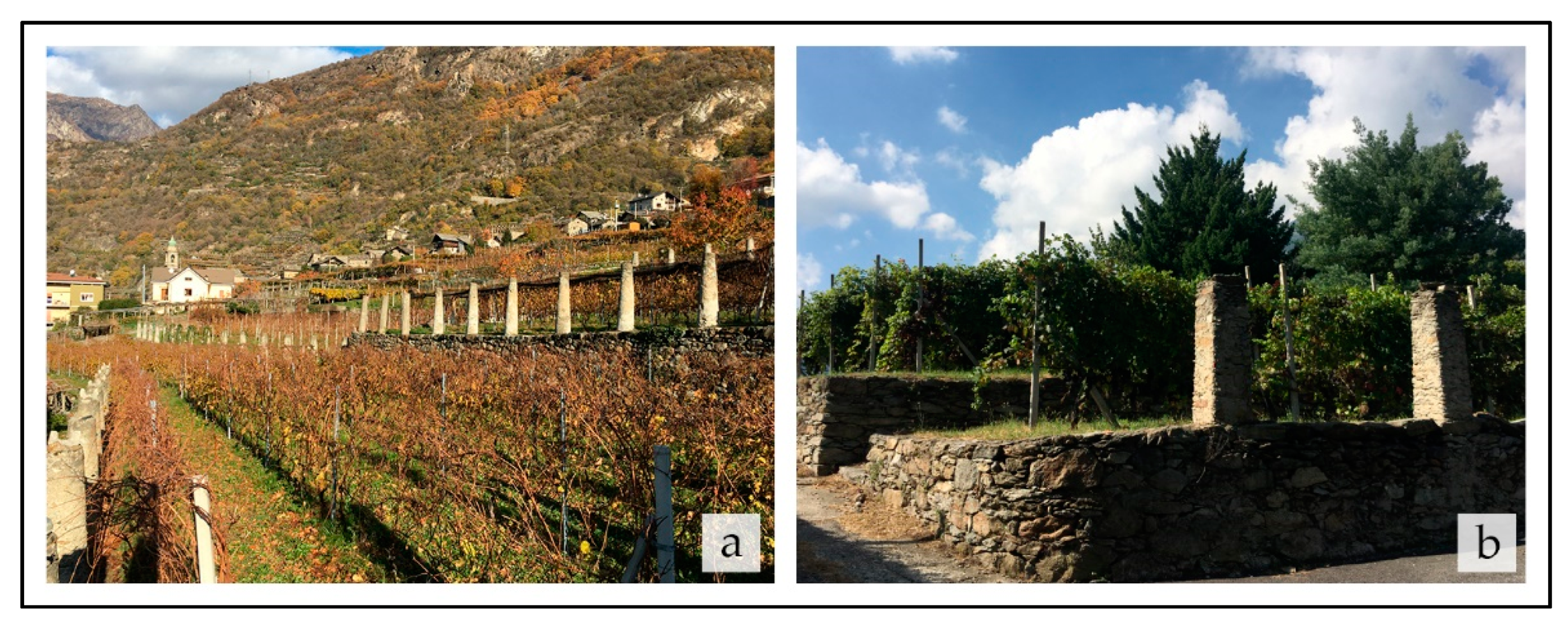 Land 11 02269 g011 Land 11 02269 g011