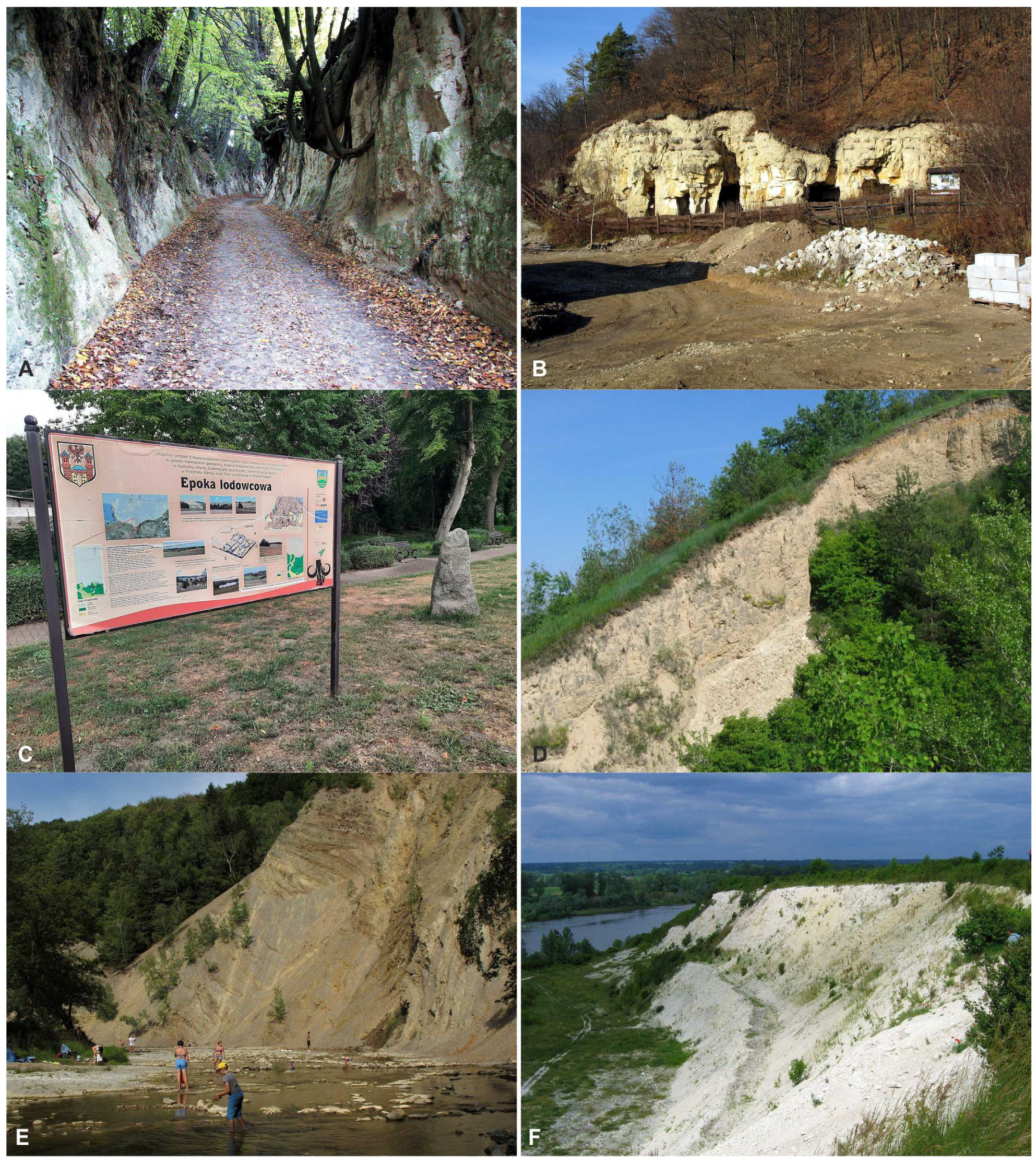 Land 11 02277 g002 Land 11 02277 g002