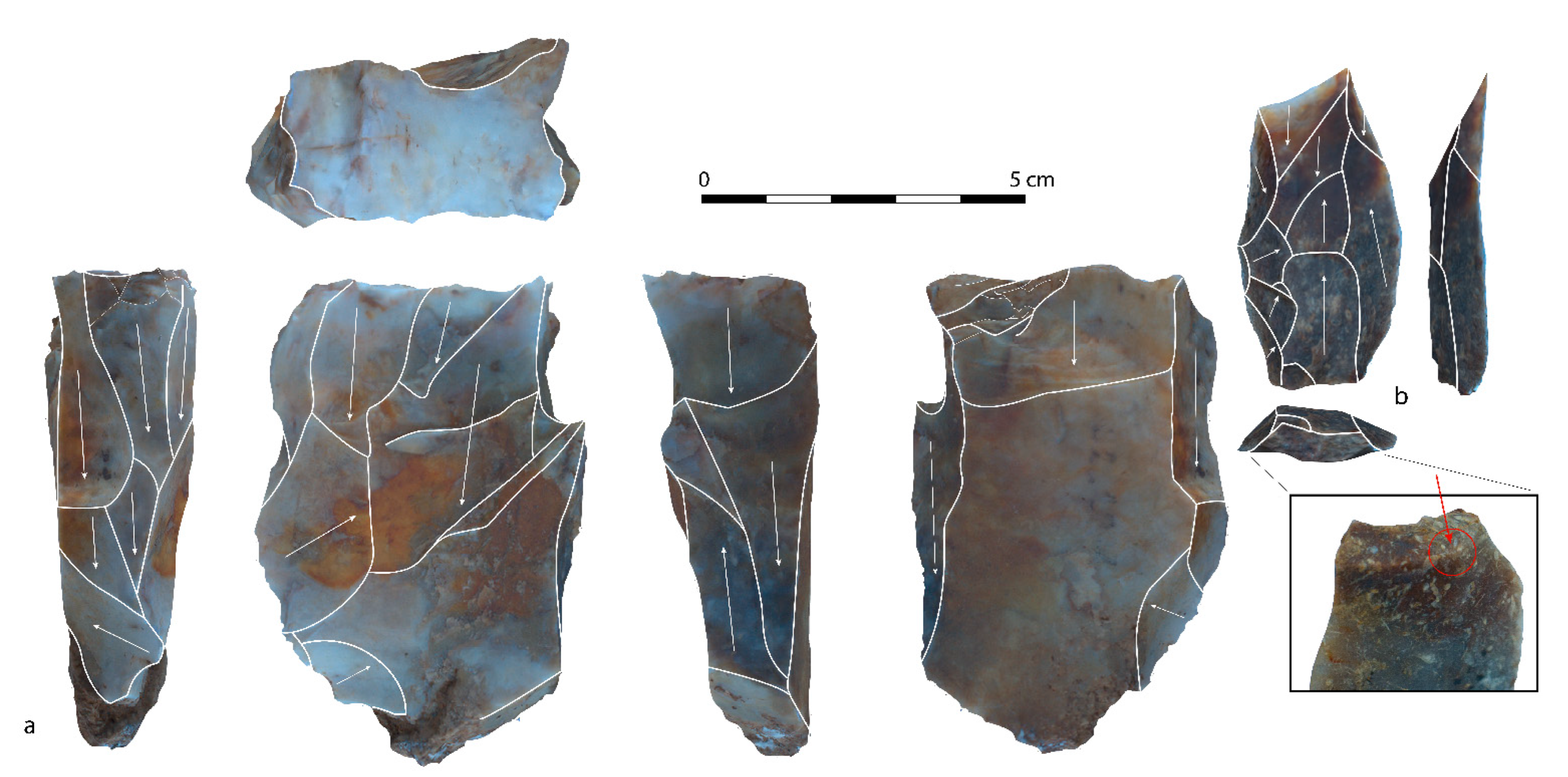 Land 11 02292 g008 Land 11 02292 g008