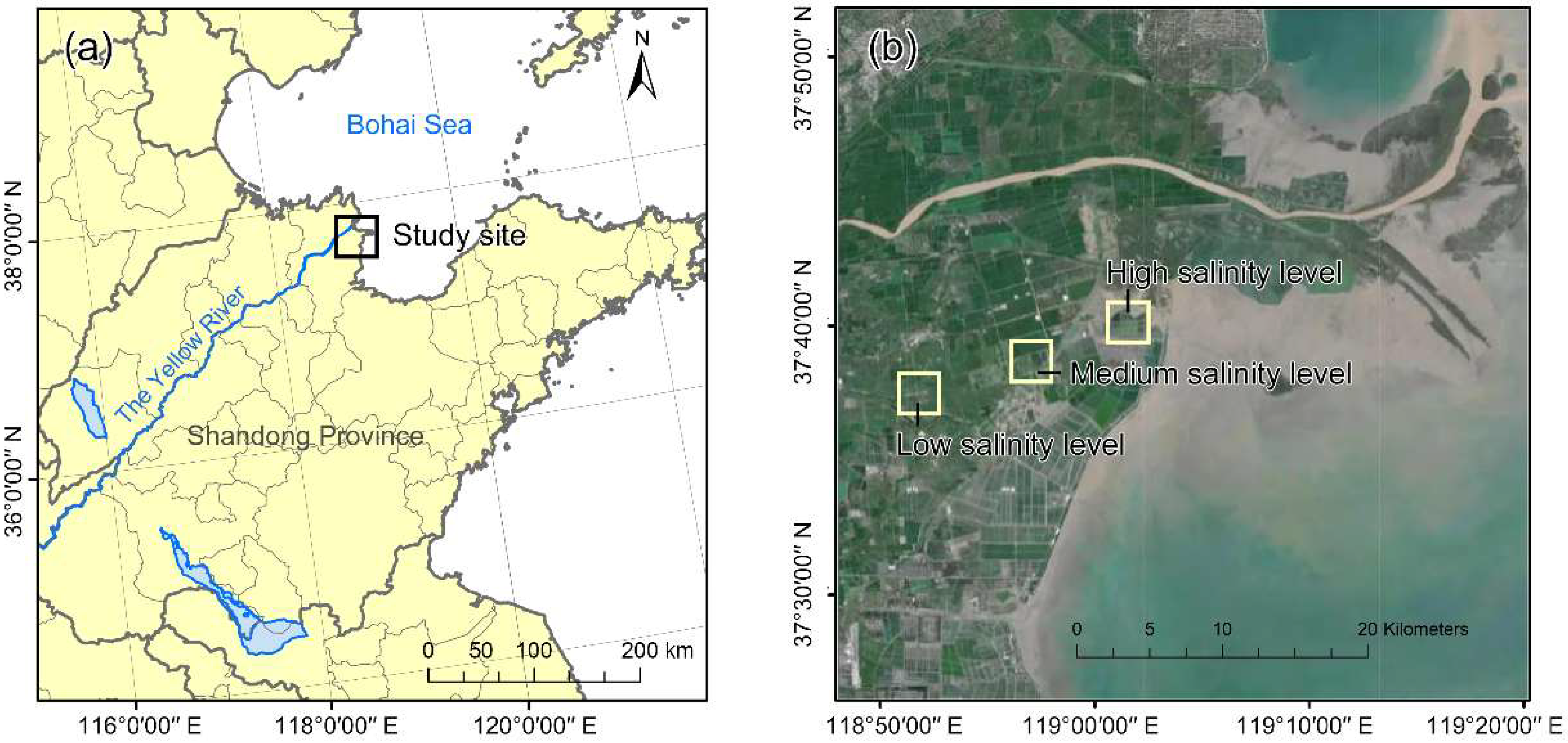 Land 11 02320 g001 Land 11 02320 g001